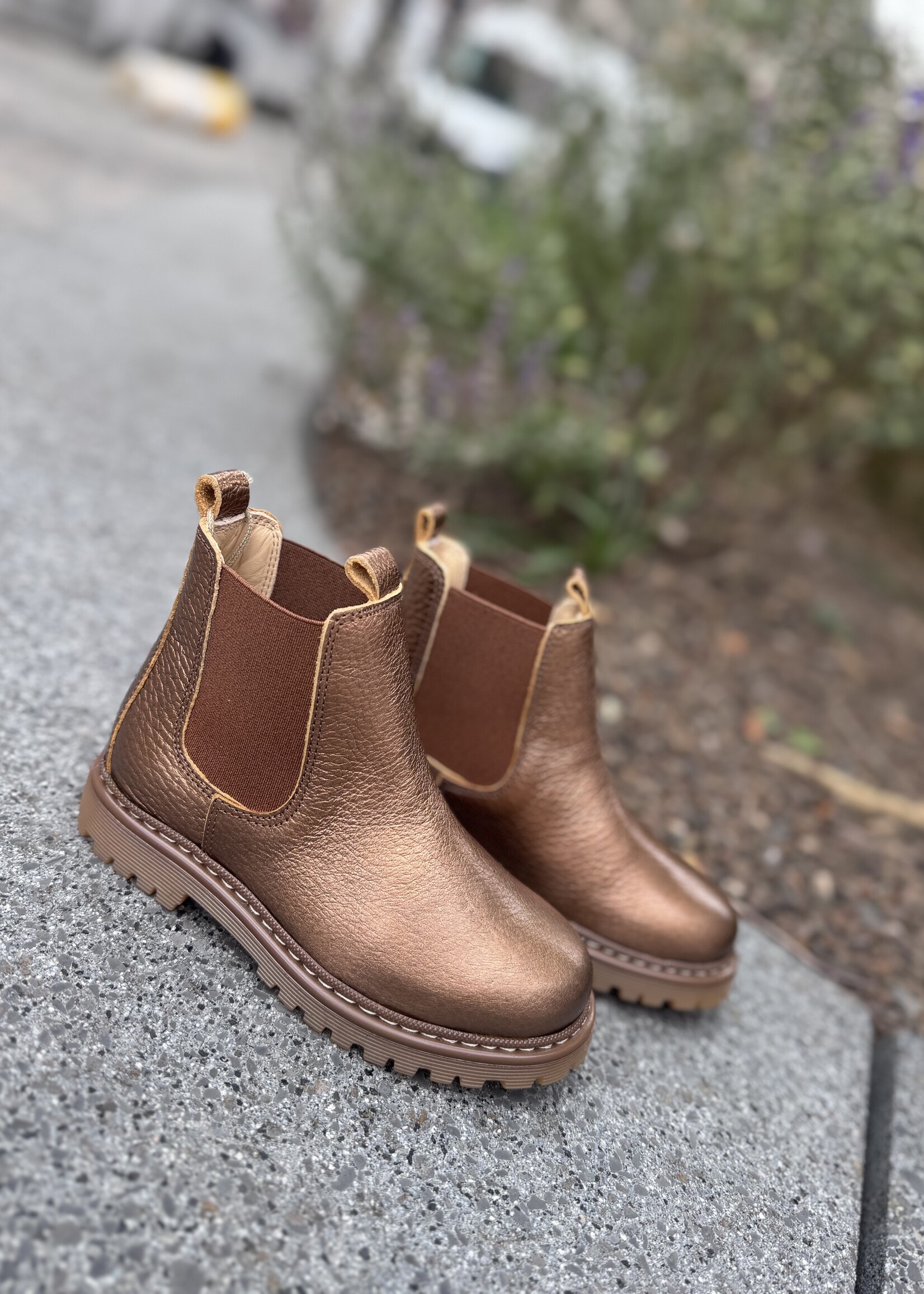 Angulus 2192-401 chunky chelsea boot bronze shine/cognac