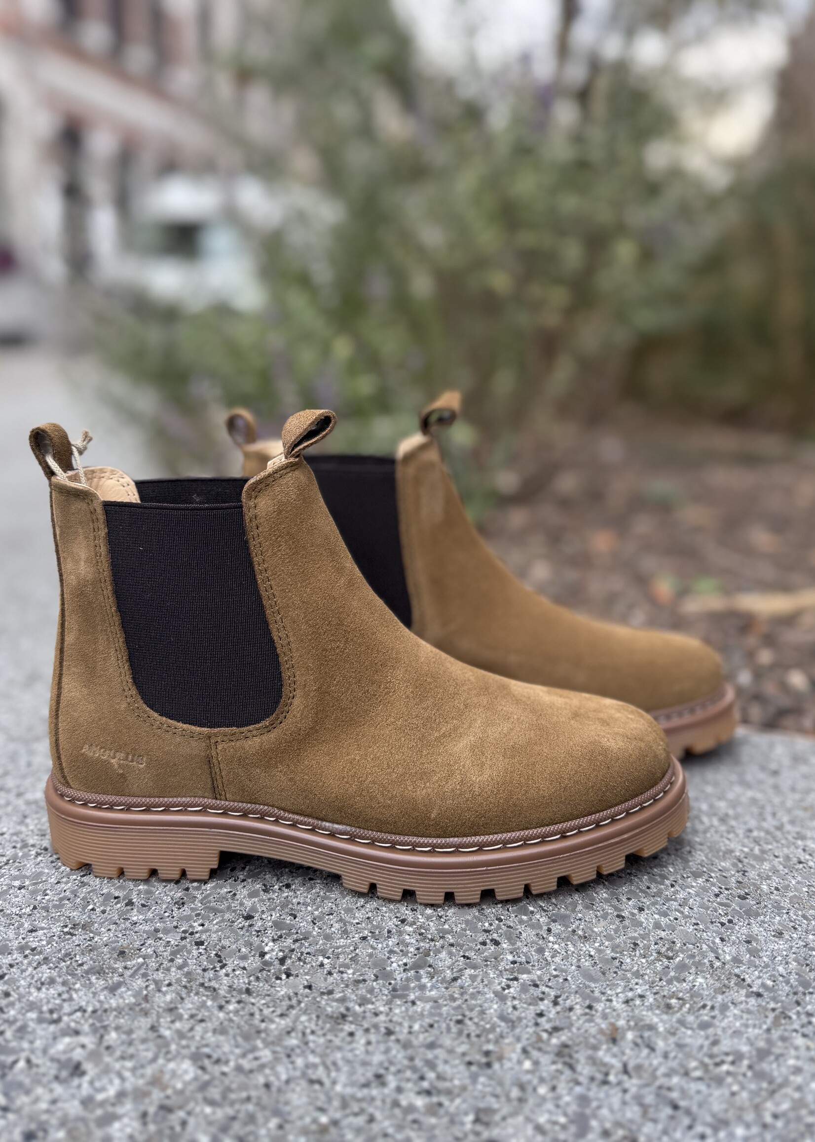 Angulus 2179-101 chelsea boot on track sole mustard/brown