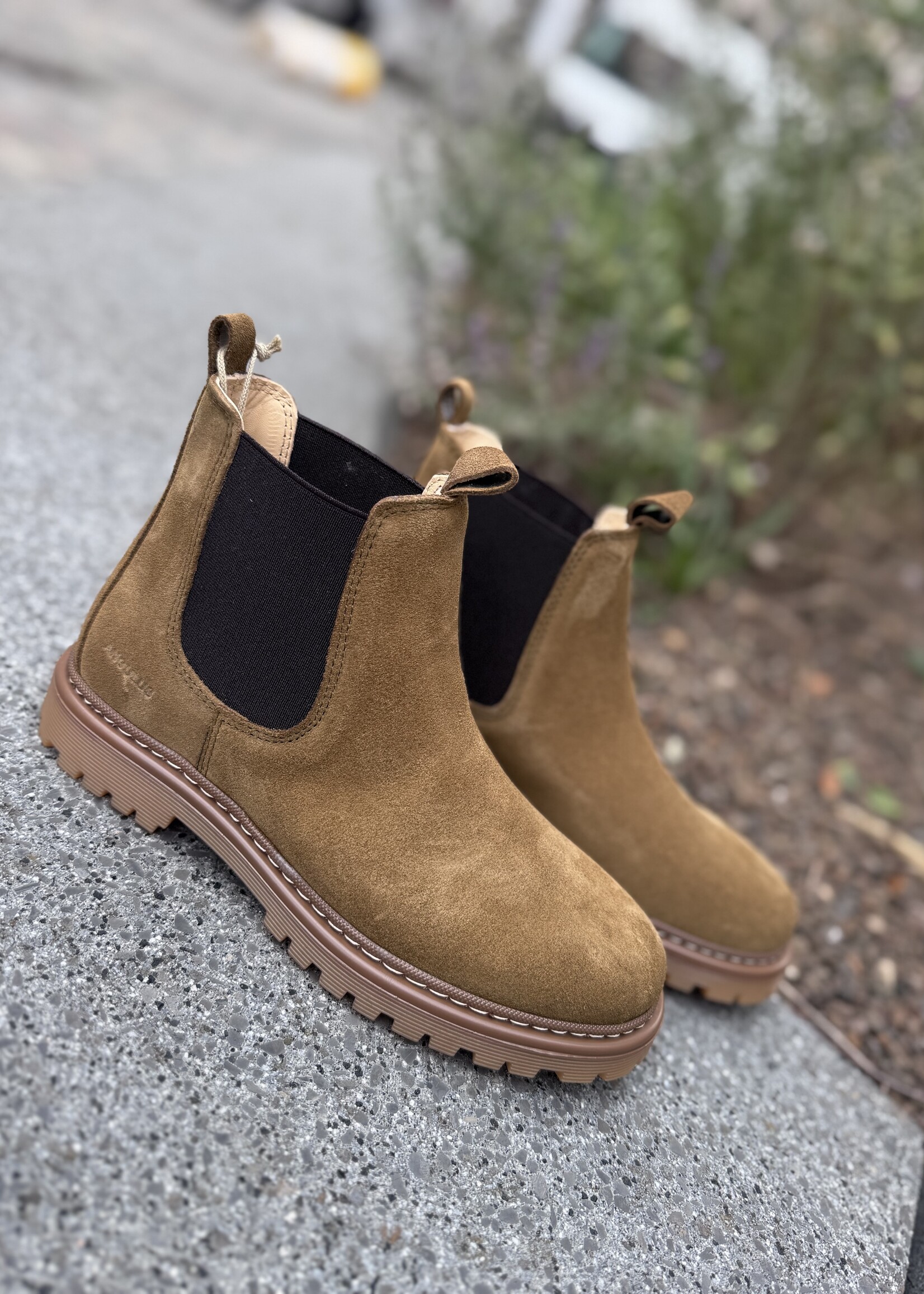 Angulus 2179-101 chelsea boot on track sole mustard/brown