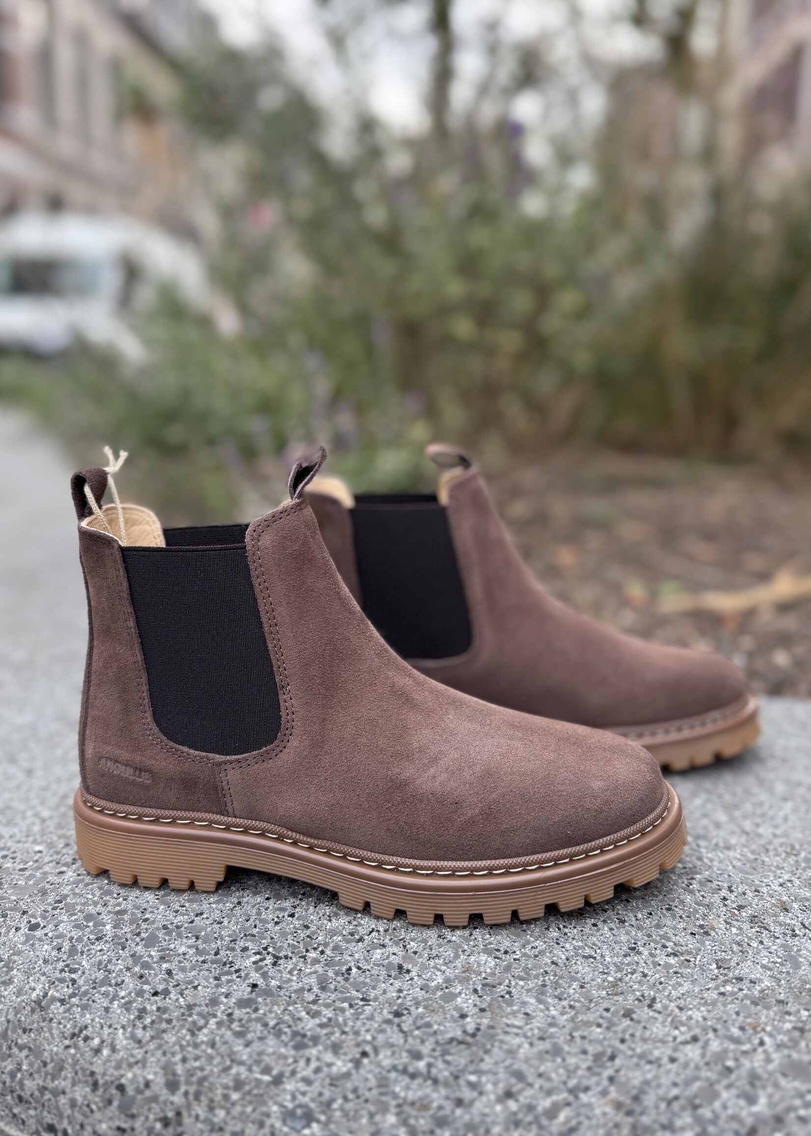 Angulus 2179-101 chelsea boot on track sole dark taupe/brown