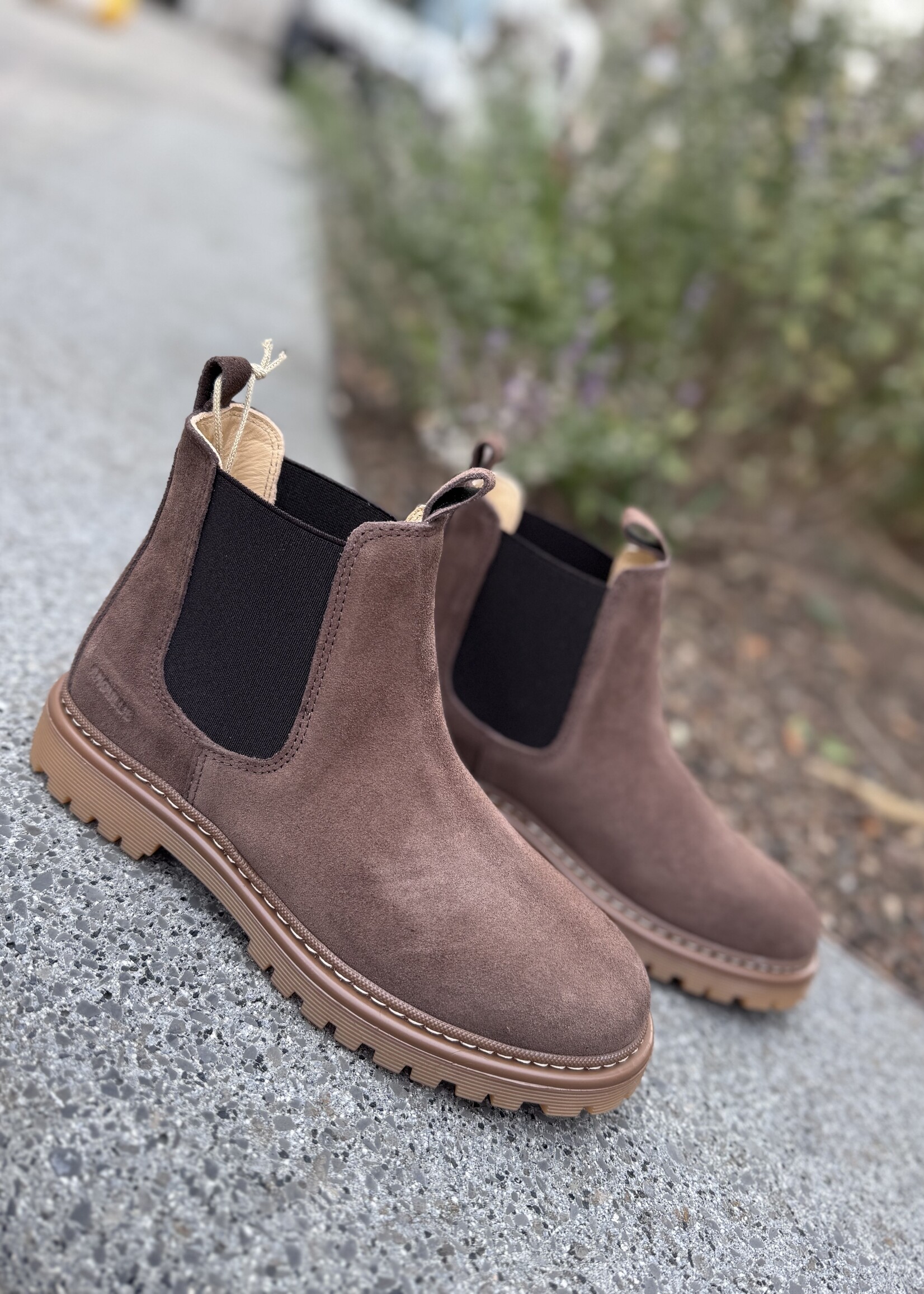 Angulus 2179-101 chelsea boot on track sole dark taupe/brown