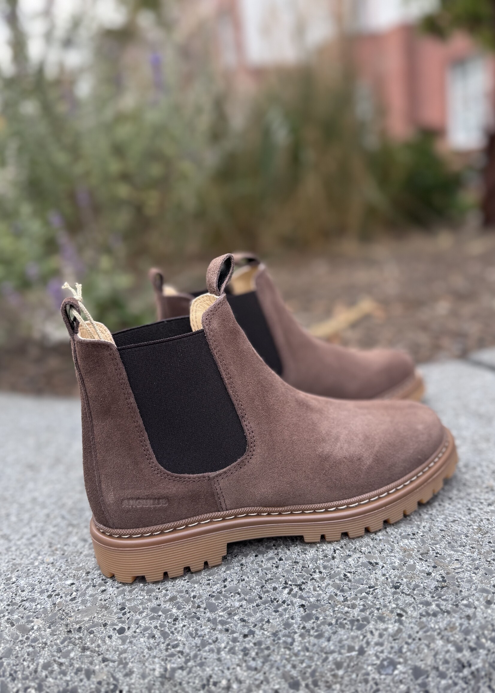 Angulus 2179-101 chelsea boot on track sole dark taupe/brown