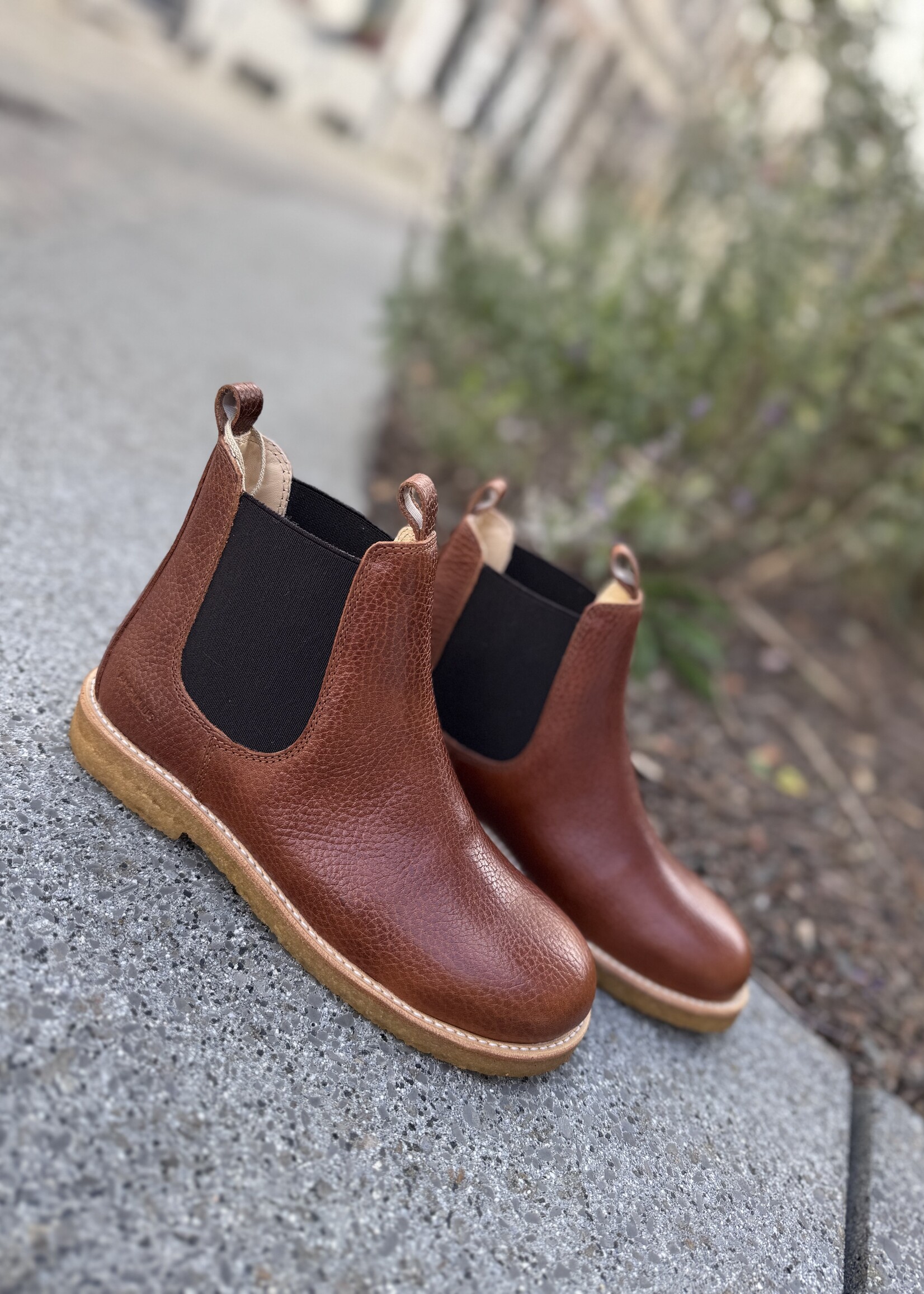 Angulus 6169-101 chelsea boot medium brown