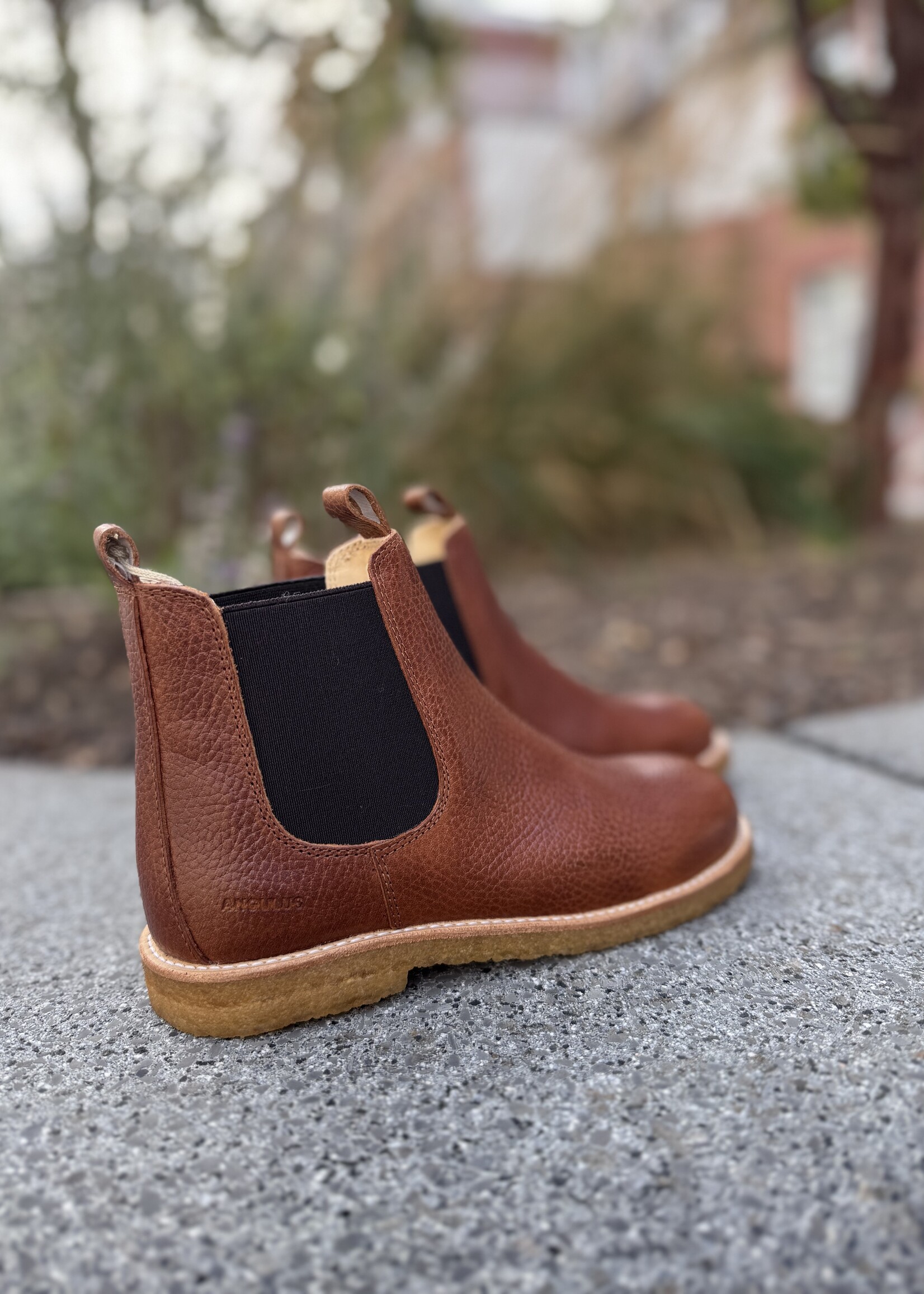 Angulus 6169-101 chelsea boot medium brown