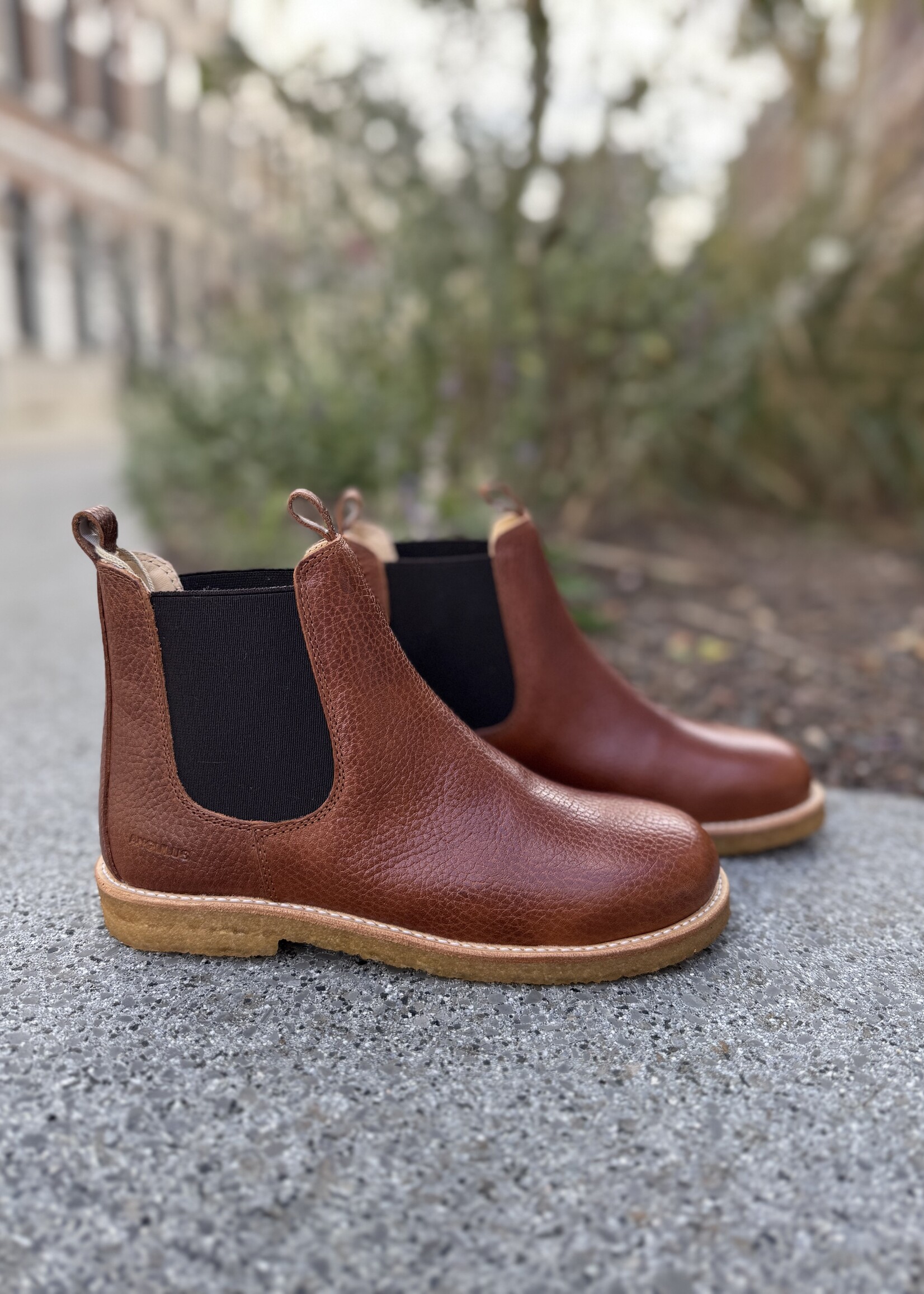 Angulus 6169-101 chelsea boot medium brown