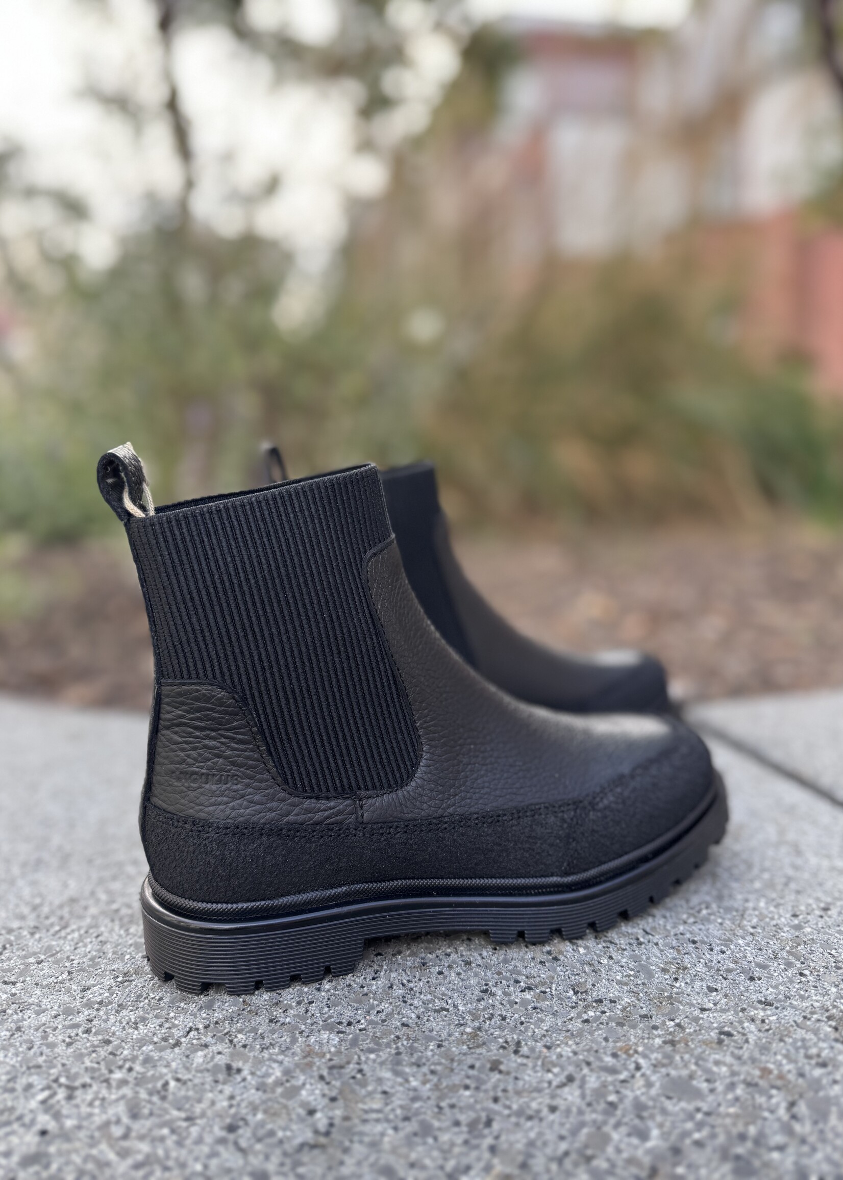 Angulus 6110-101 chelsea boot black