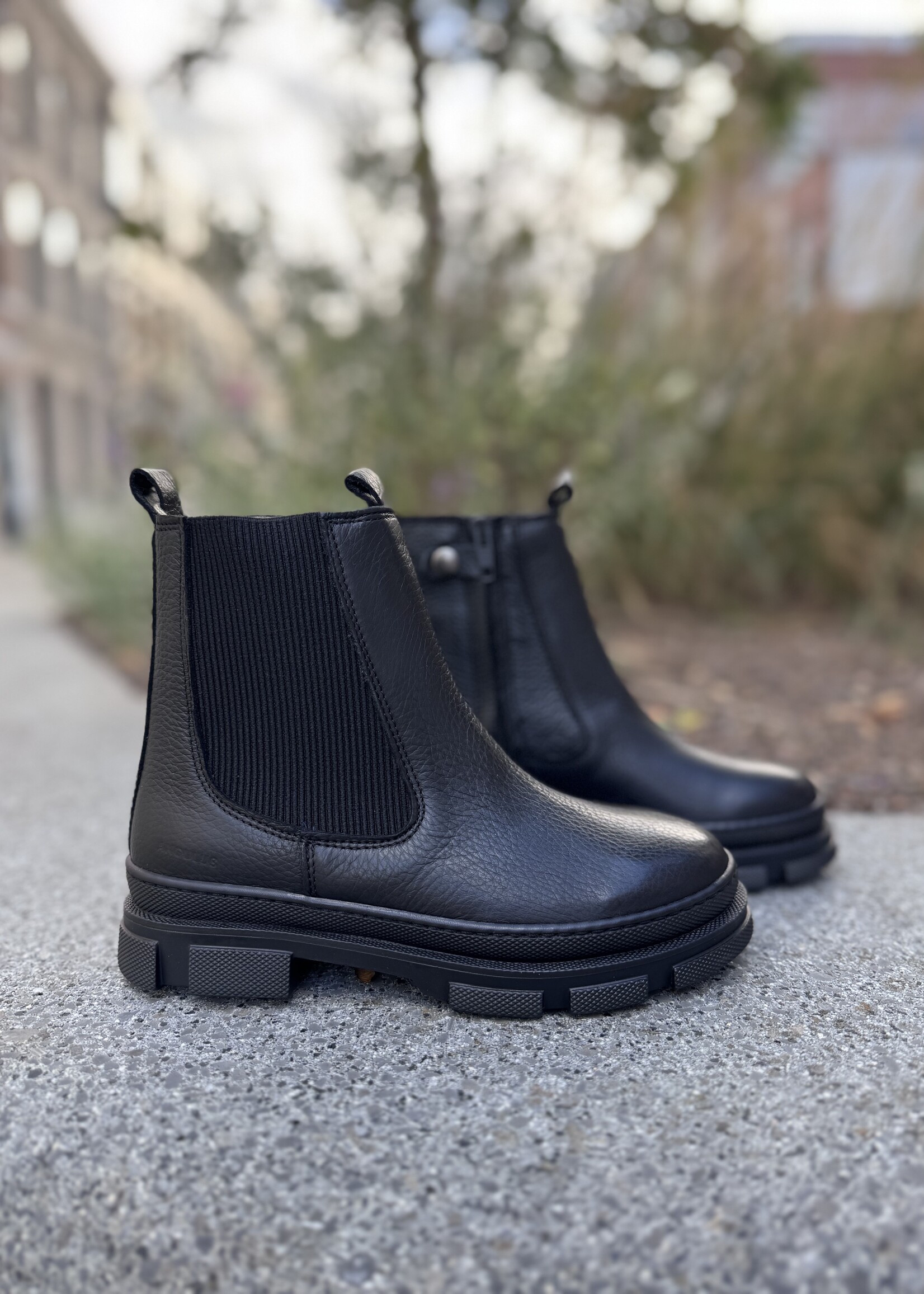 Angulus 6172-102 chelsea boot zipper black/black