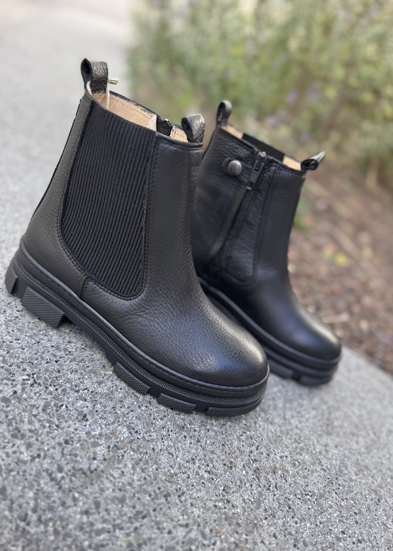 Angulus 6172-102 chelsea boot zipper black/black