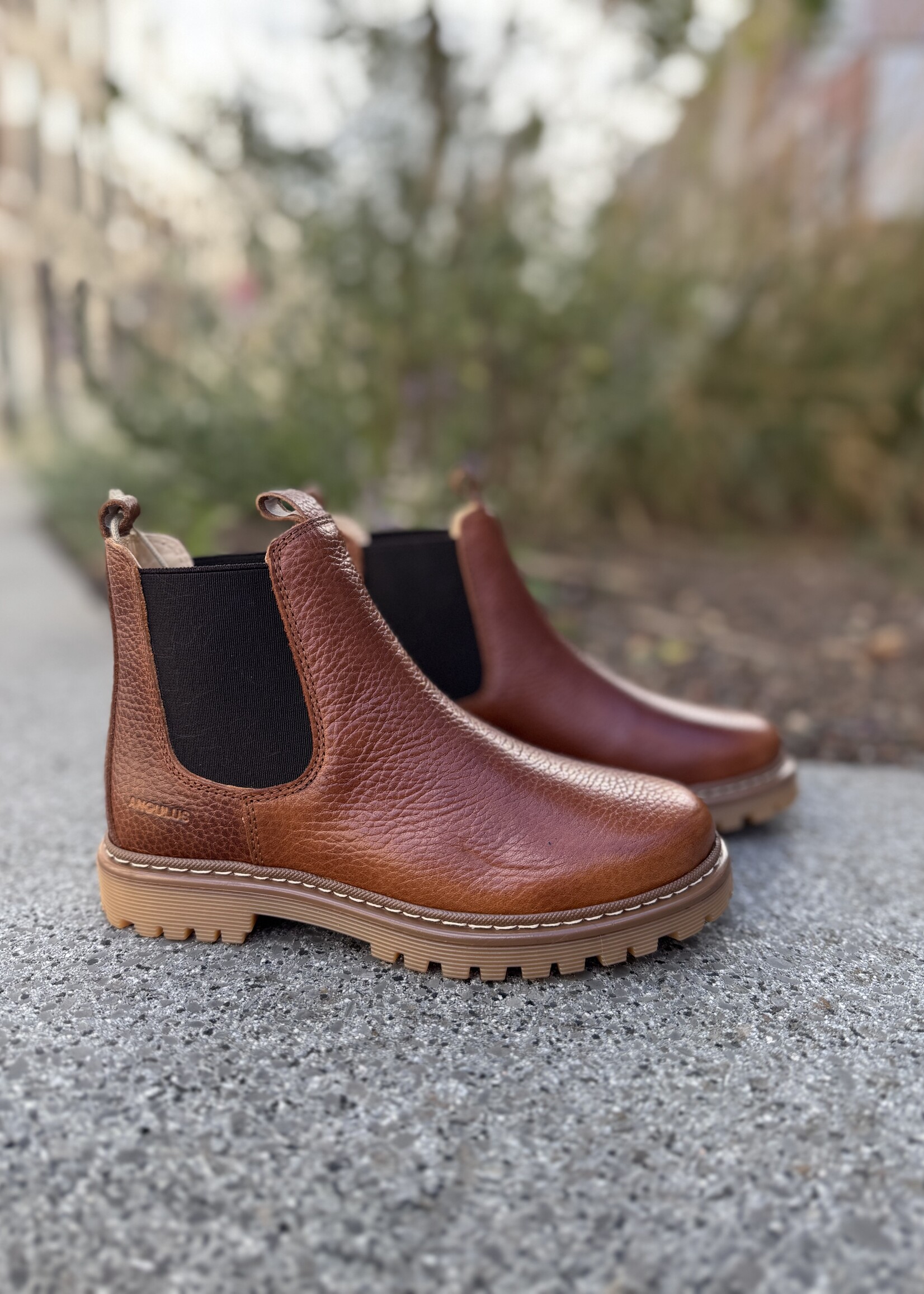 Angulus 2192-401 chunky chelsea boot medium brown
