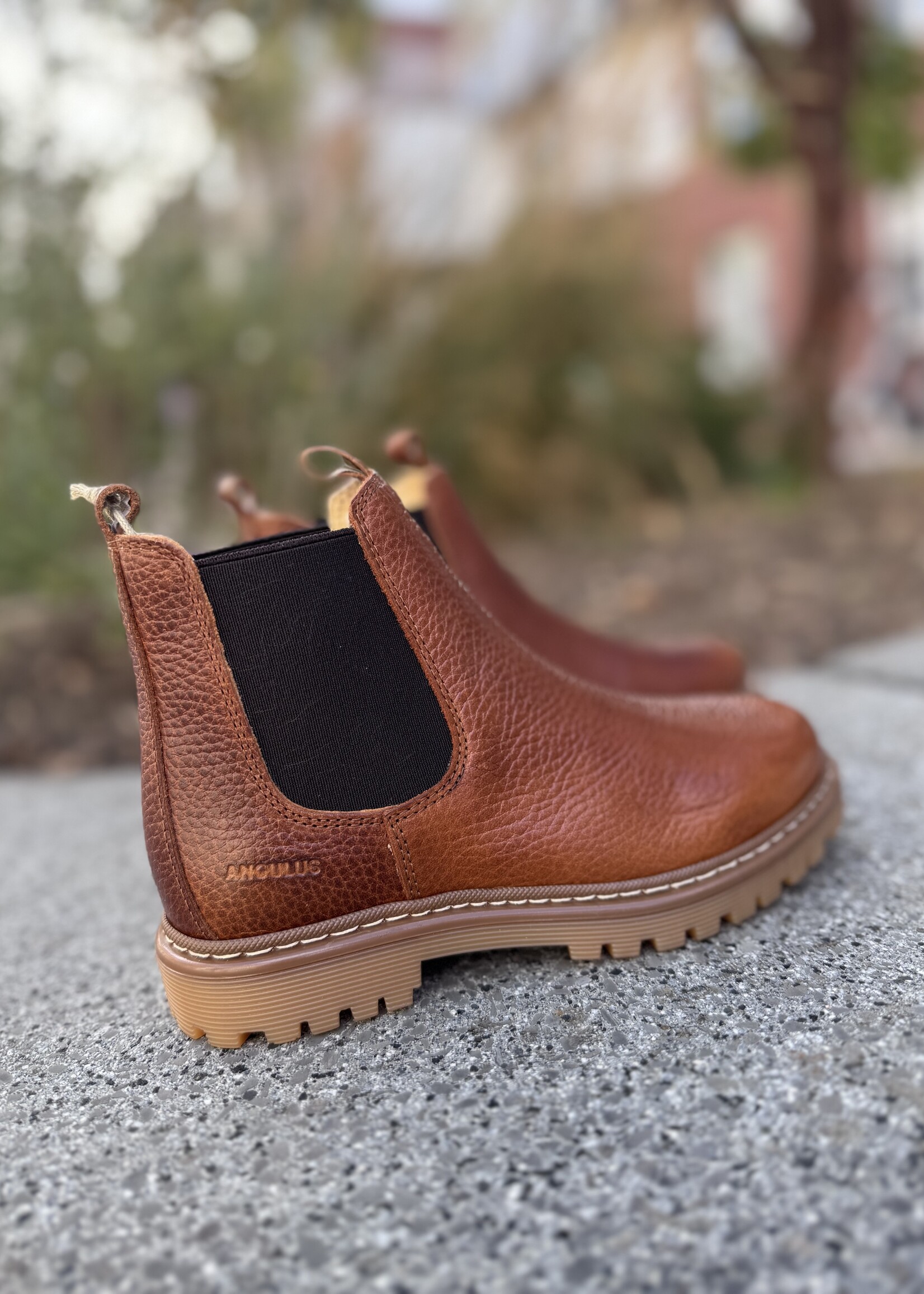 Angulus 2192-401 chunky chelsea boot medium brown