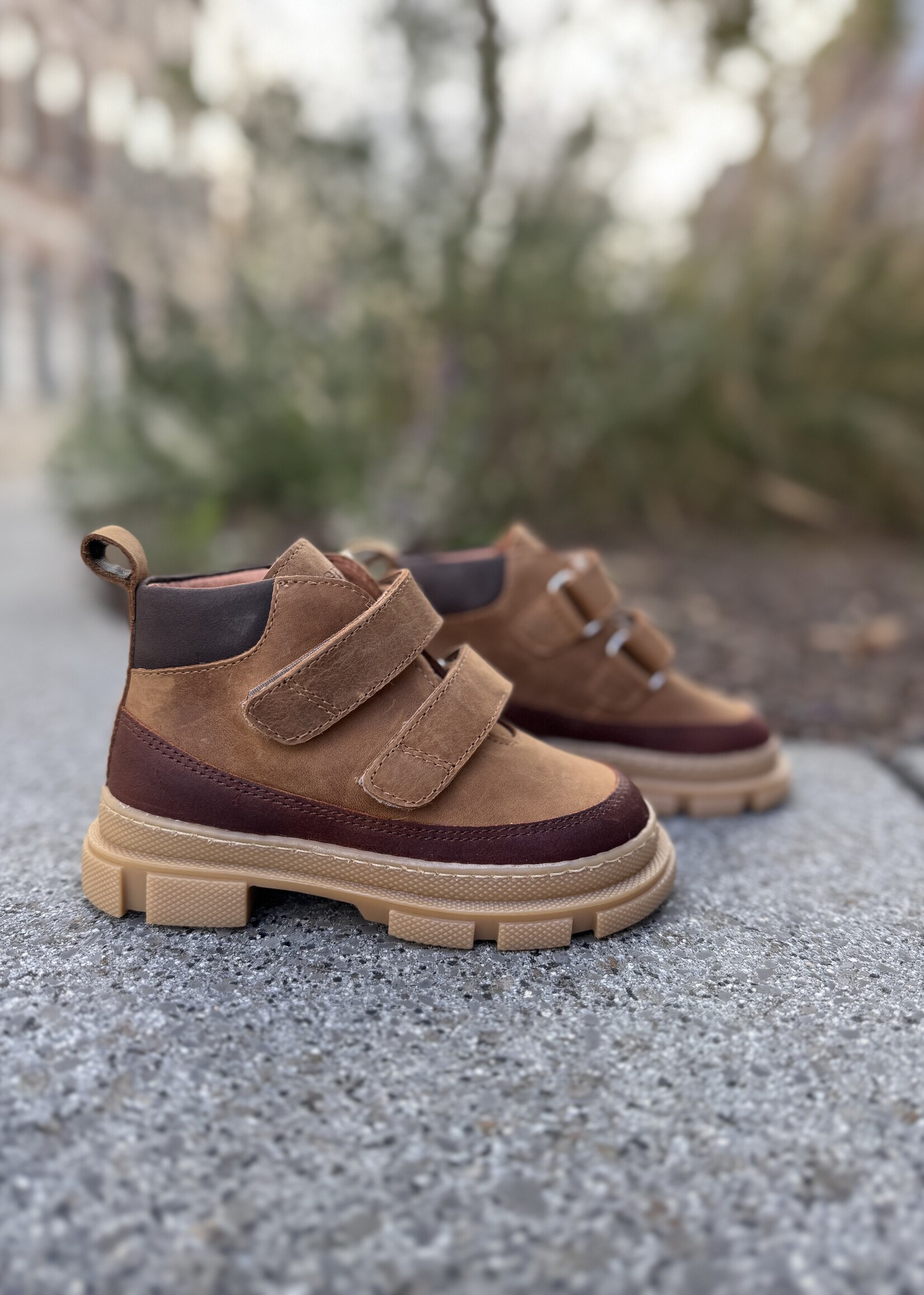 Angulus 3420-102 mid-cut sneaker velcro cognac