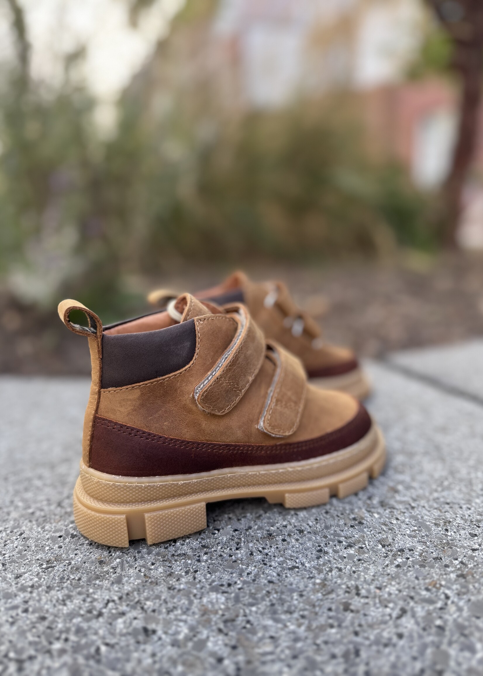 Angulus 3420-102 mid-cut sneaker velcro cognac