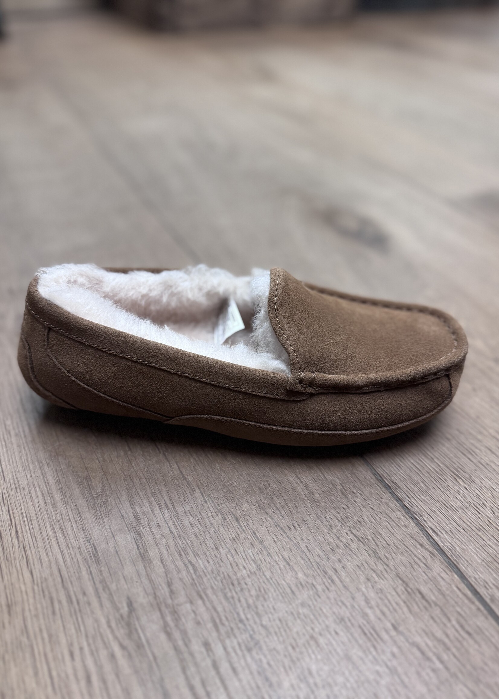 UGG 1120886 ASCOT chestnut