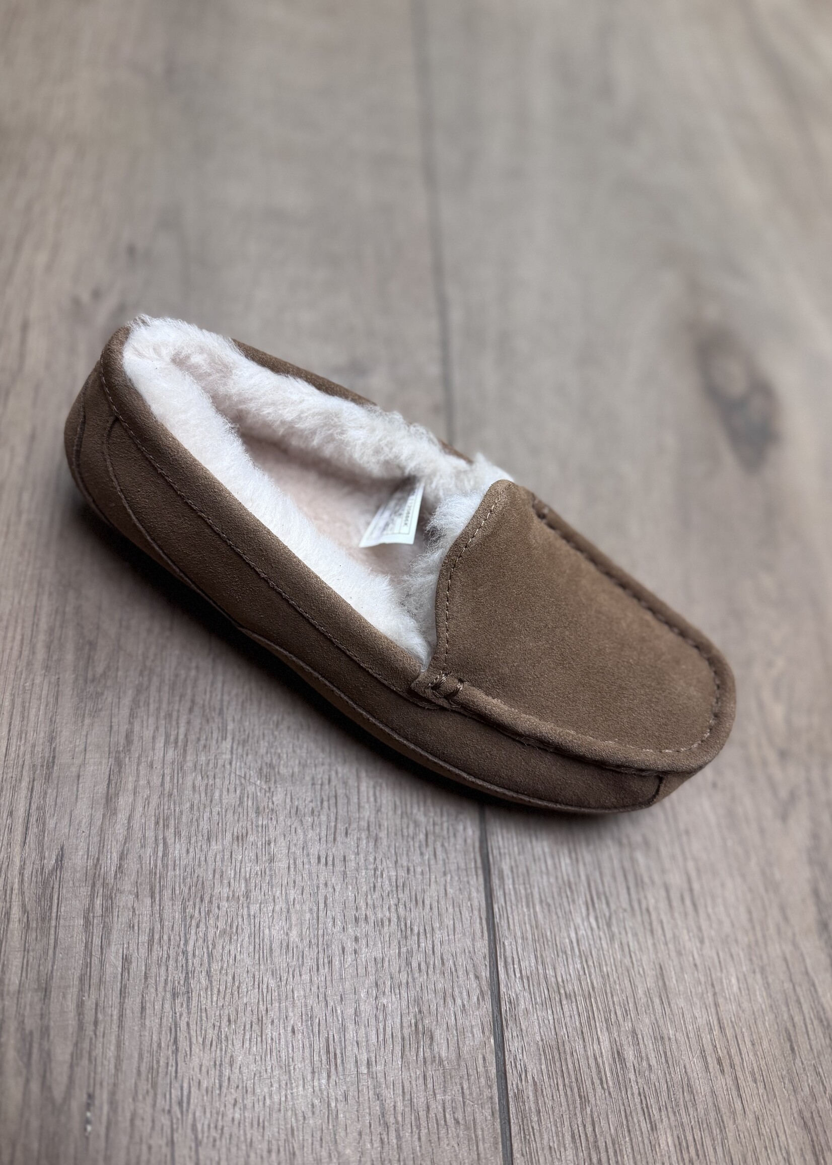 UGG 1120886 ASCOT chestnut