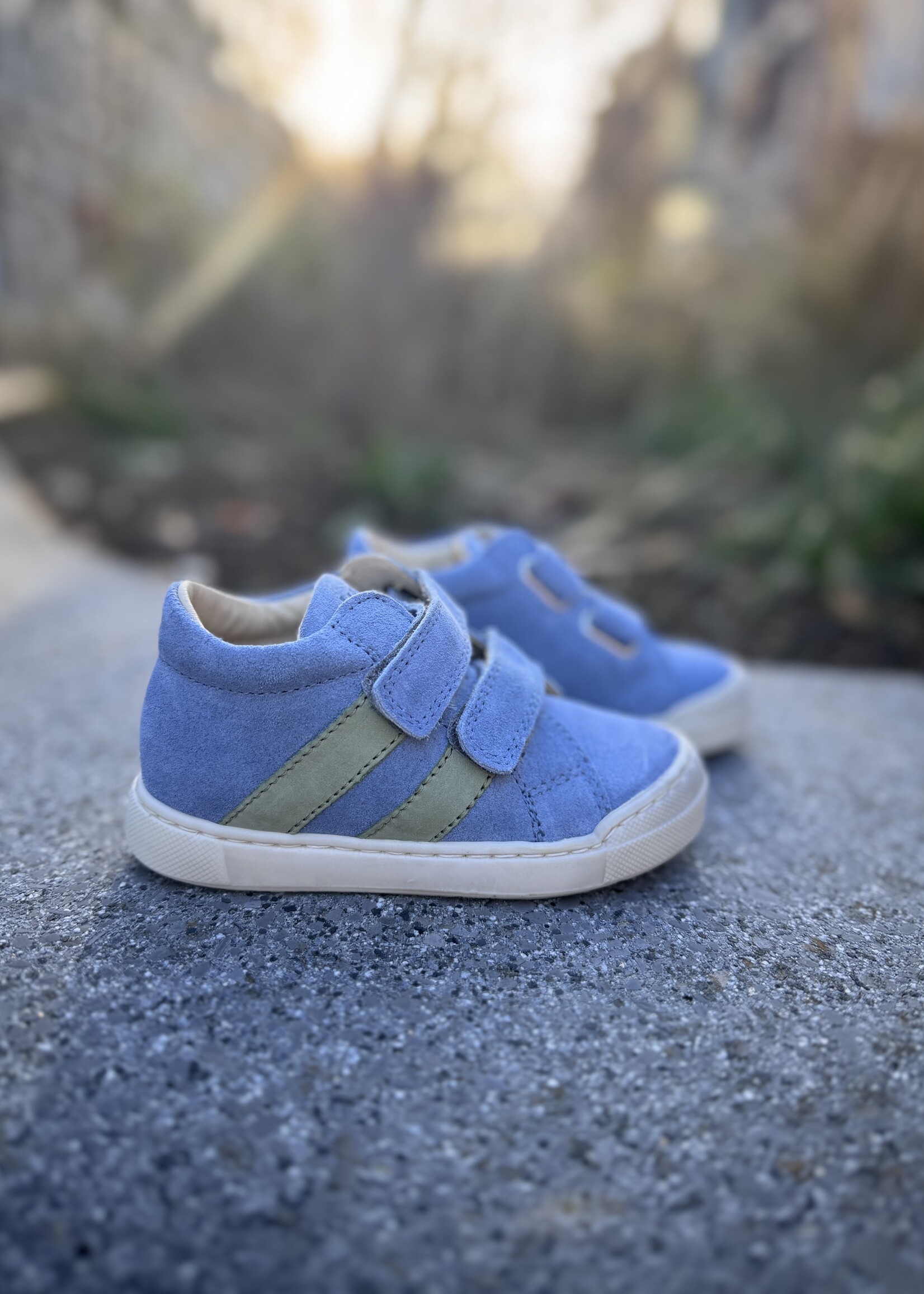 Falcotto Gazer celeste leaf velcro