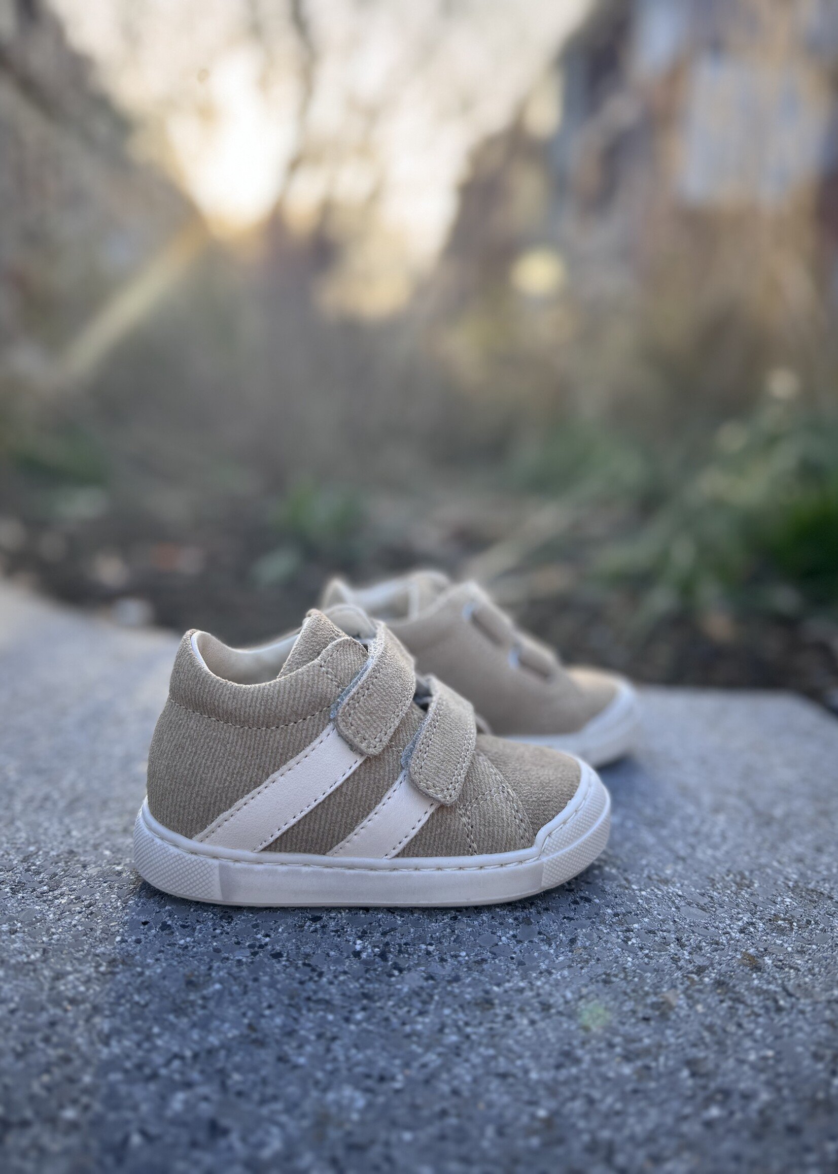 Falcotto Gazer sand milk