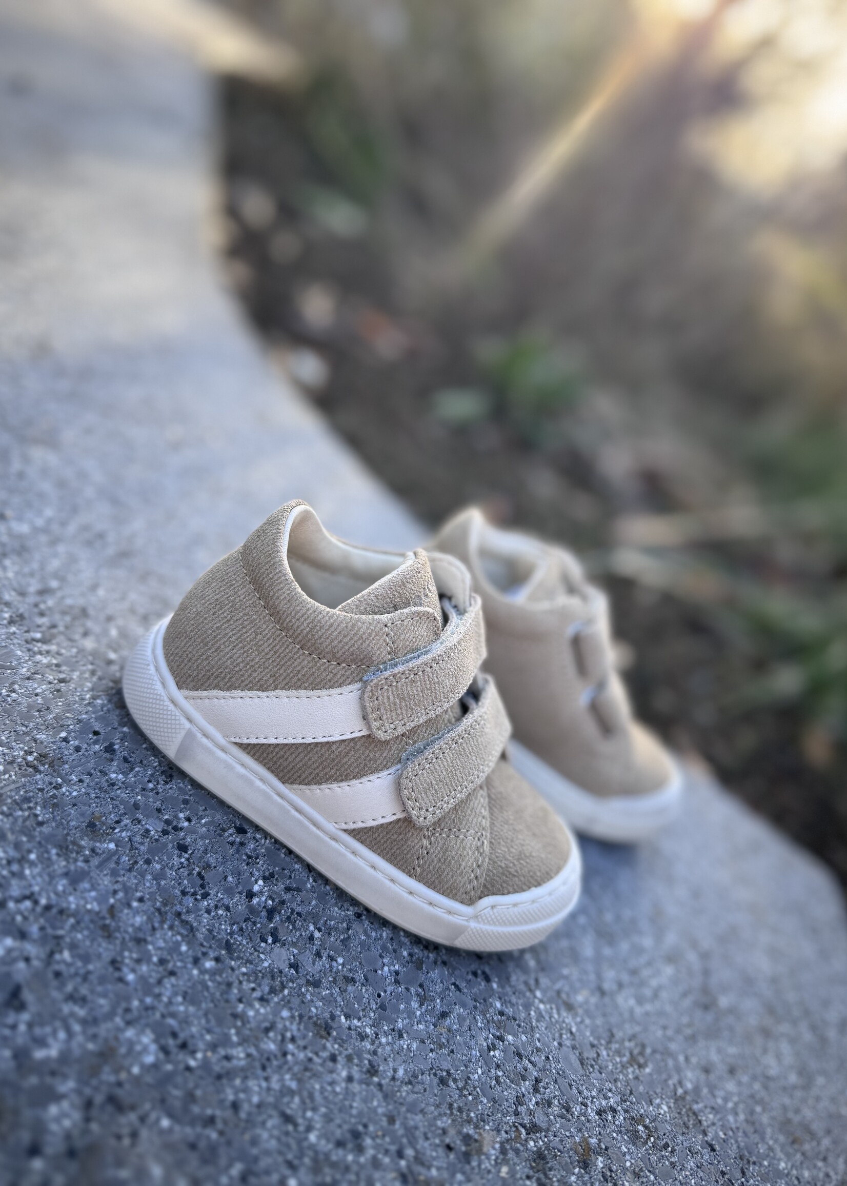 Falcotto Gazer sand milk