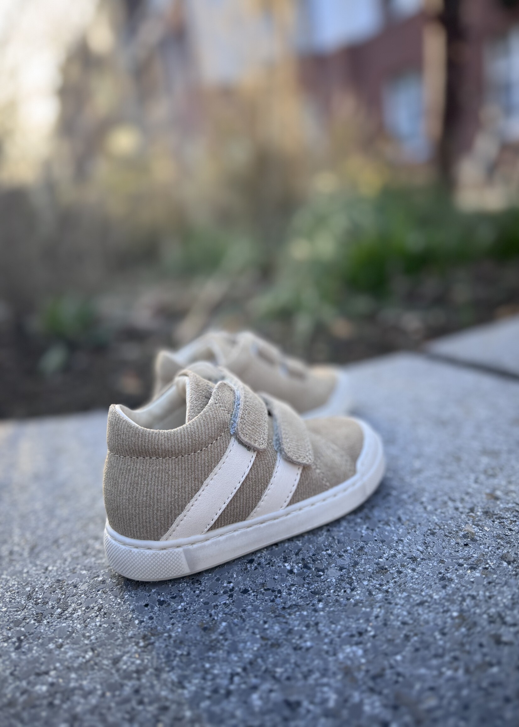 Falcotto Gazer sand milk