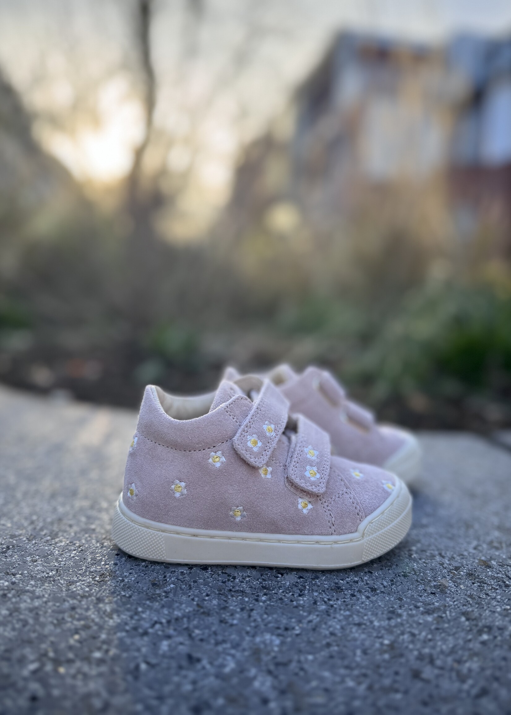 Falcotto Snopes suede cipria