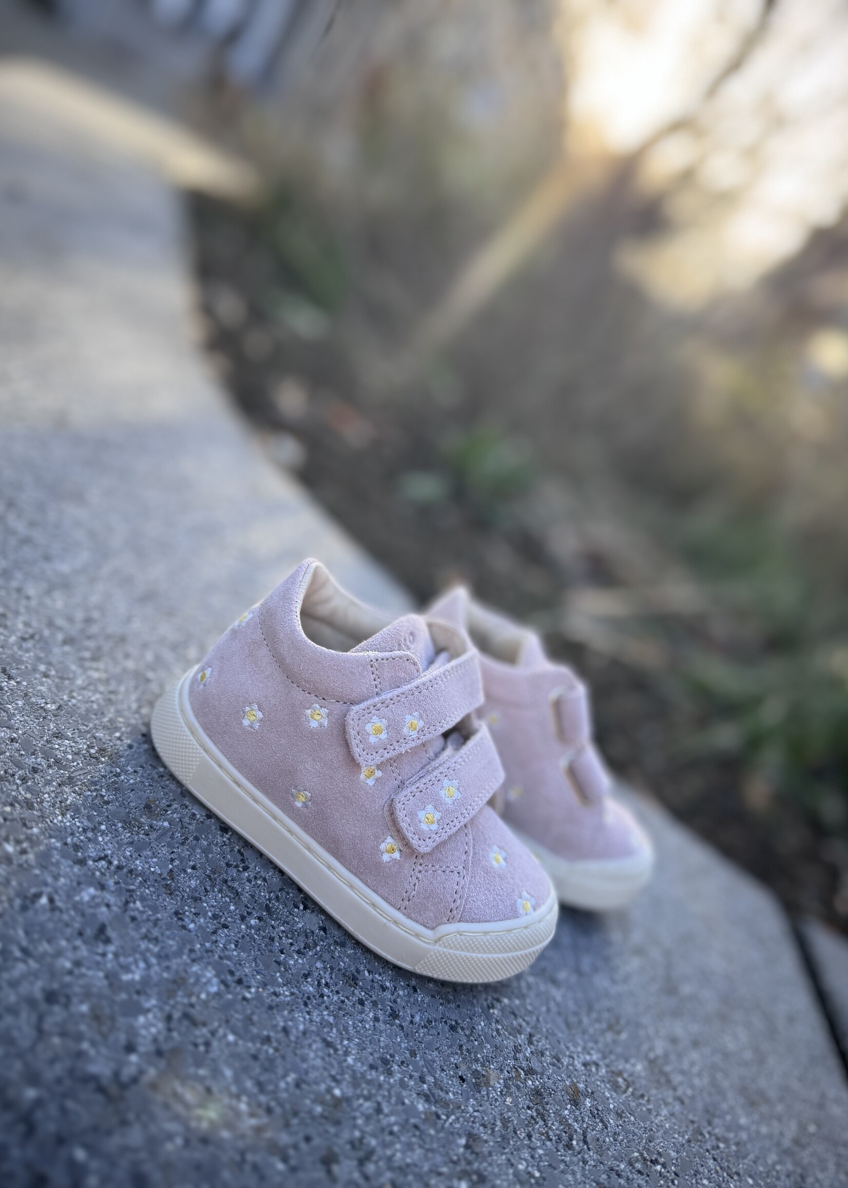 Falcotto Snopes suede cipria