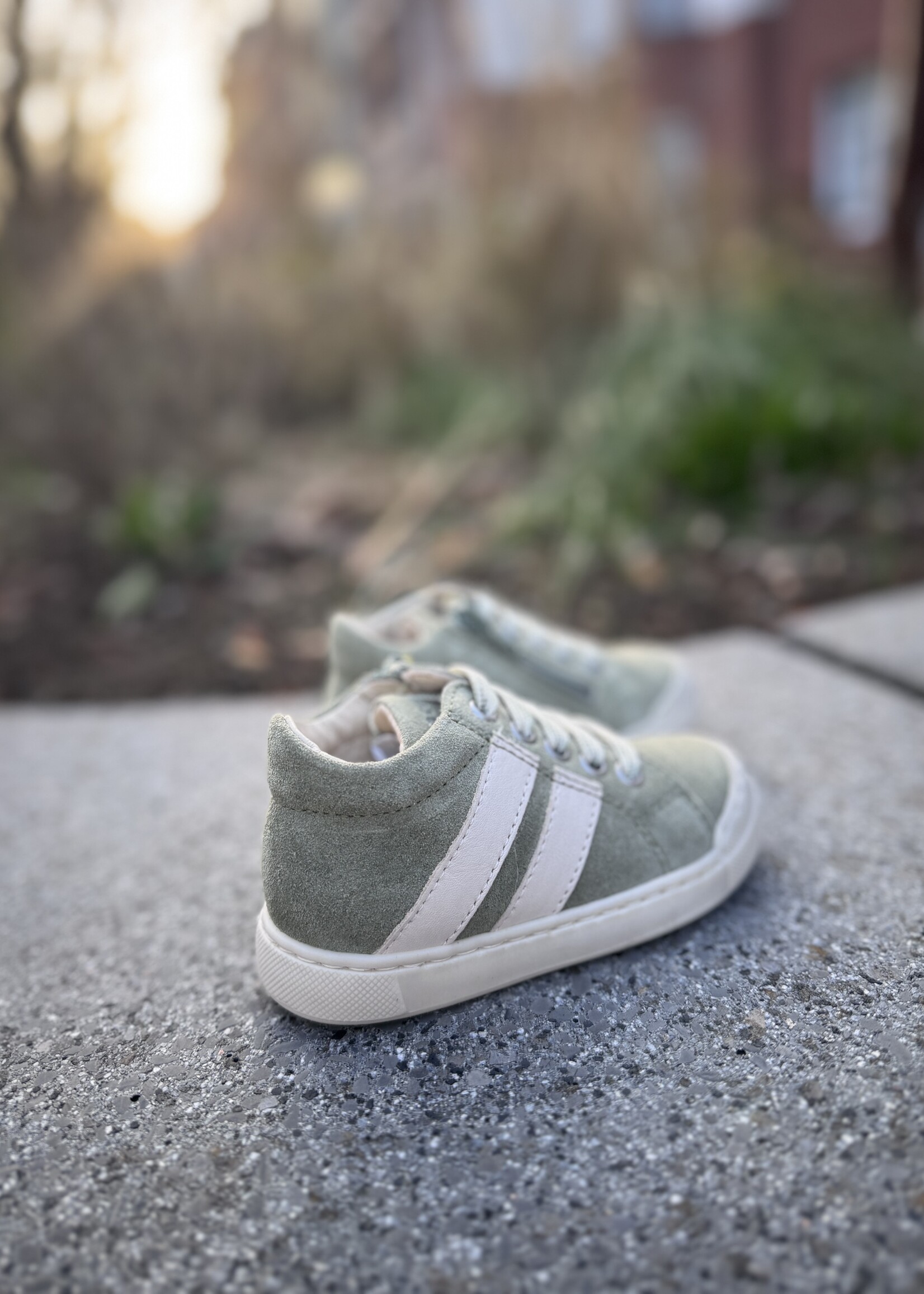 Falcotto Gazer olive milk veter/rits