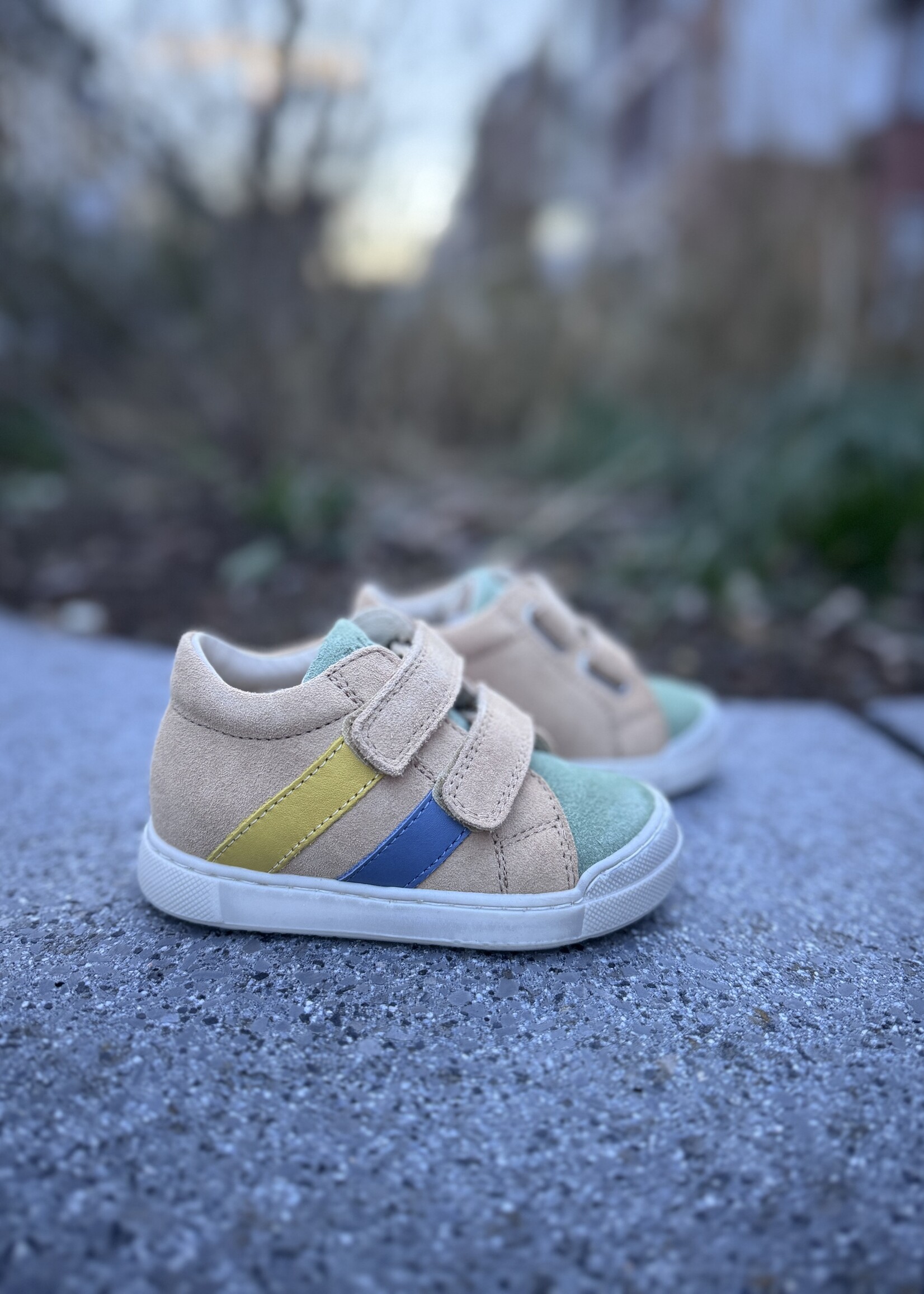 Falcotto gazer leaf sand