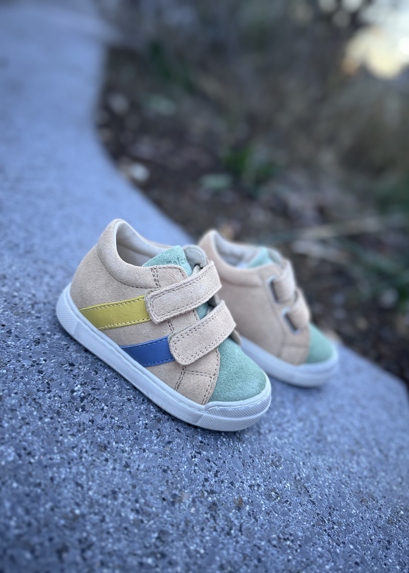 Falcotto gazer leaf sand