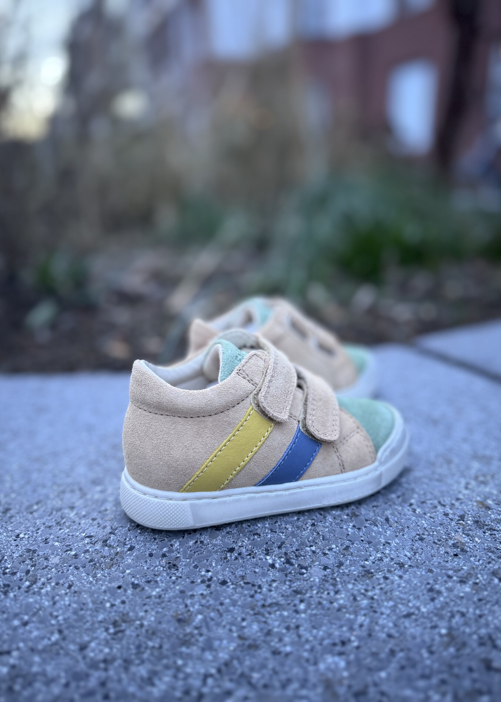 Falcotto gazer leaf sand