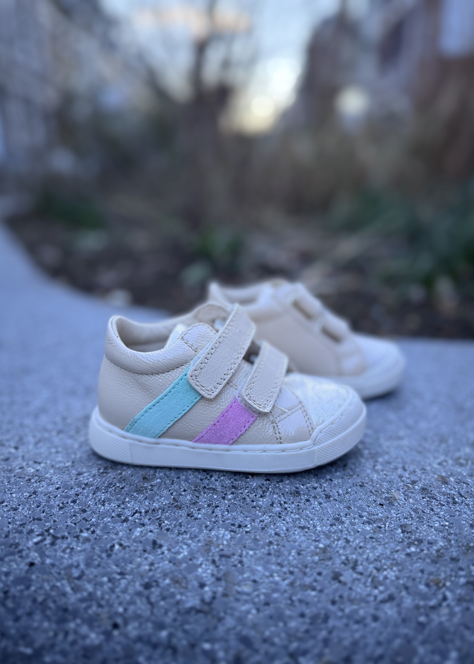 Falcotto Gazer platinum milk