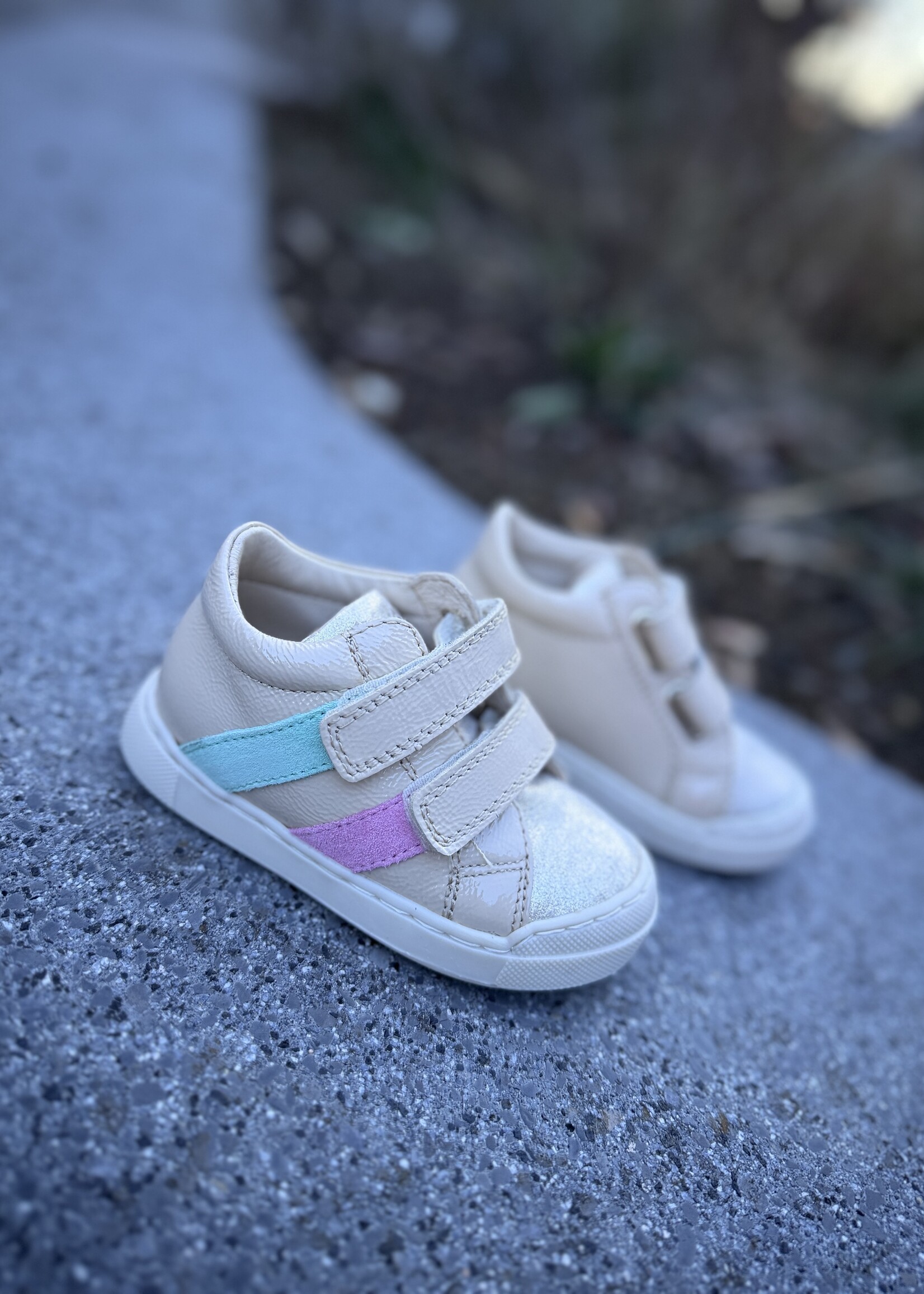 Falcotto Gazer platinum milk