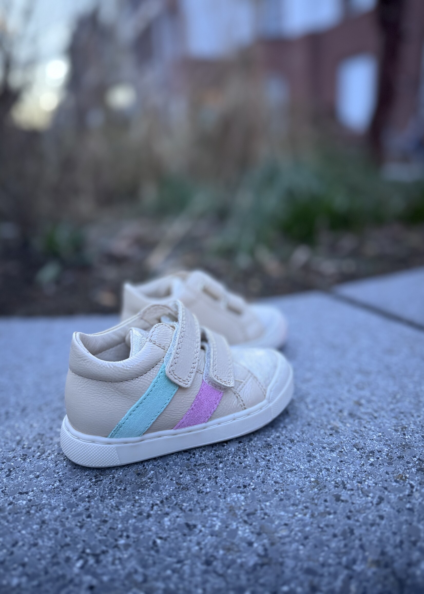 Falcotto Gazer platinum milk