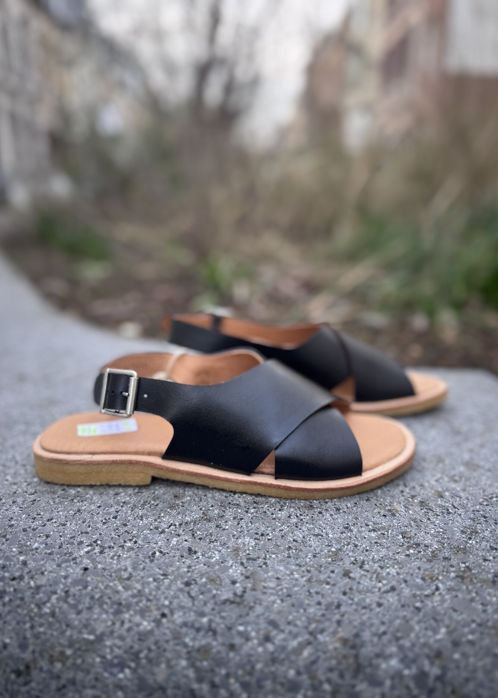 Angulus cross sandal with buckle closure black