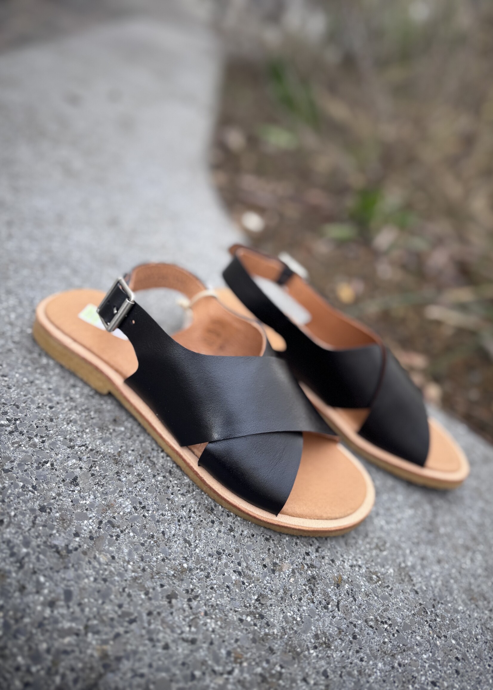 Angulus cross sandal with buckle closure black