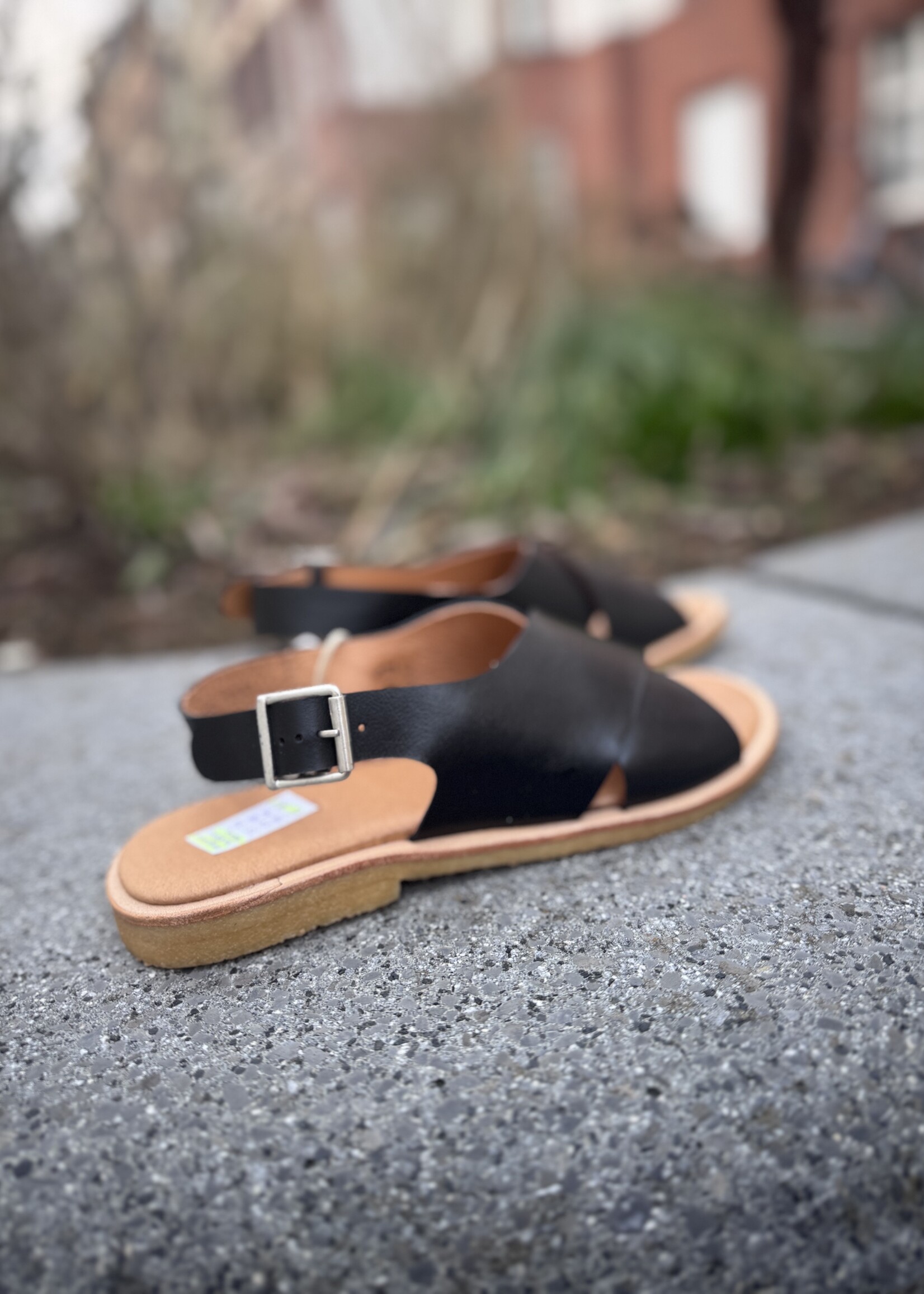 Angulus cross sandal with buckle closure black