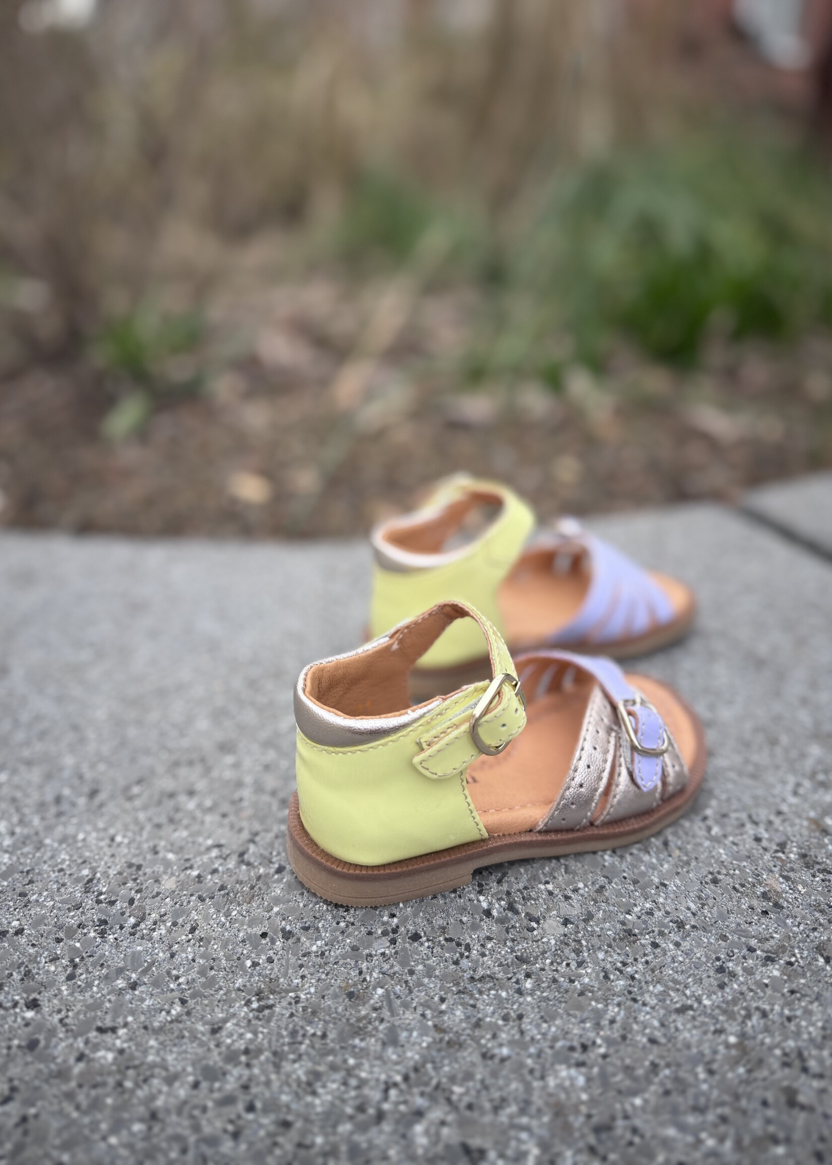 Romagnoli 8529R069 sandaal lila geel goud