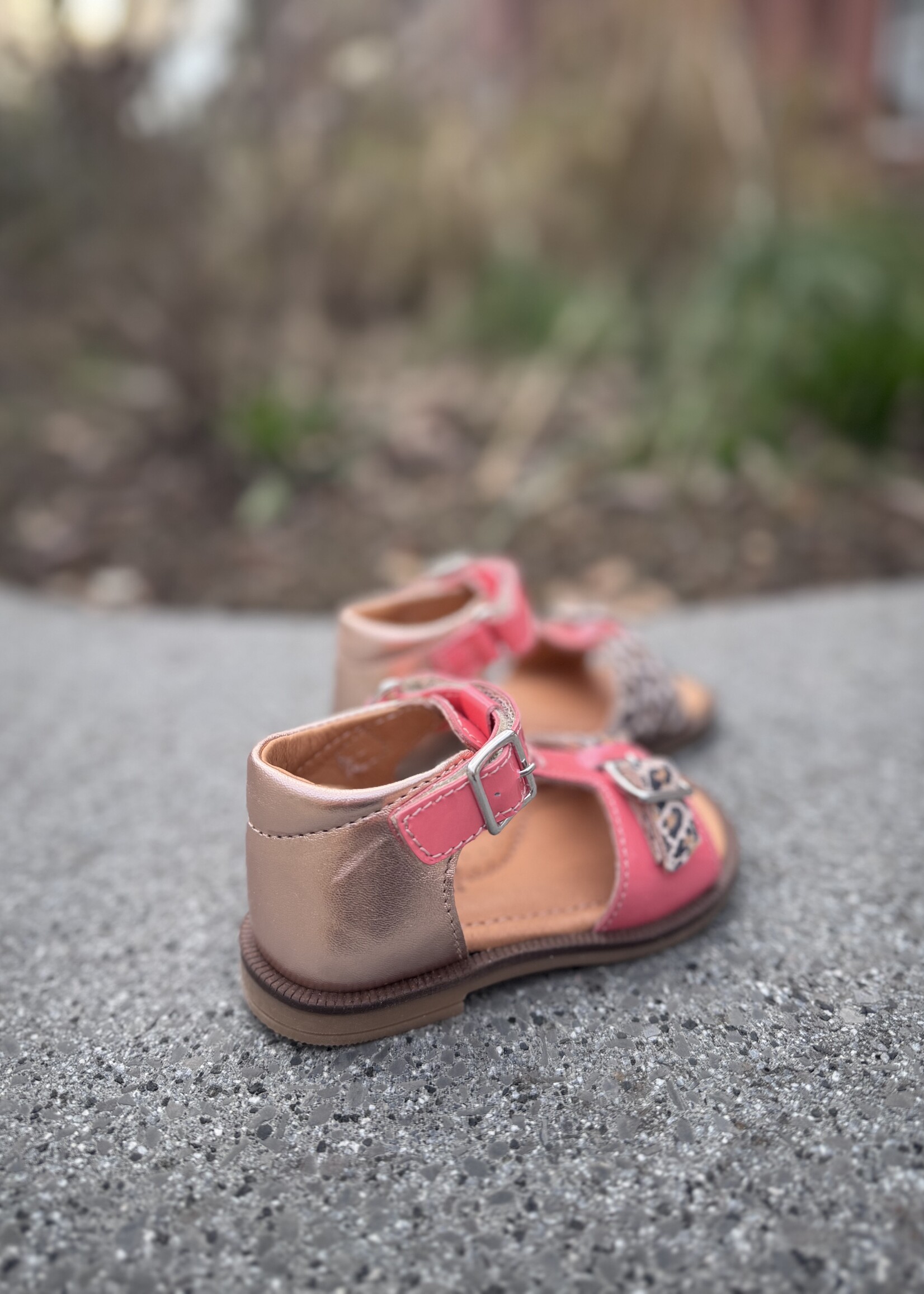 Romagnoli 8525R071 sandaal rose gold rose leo