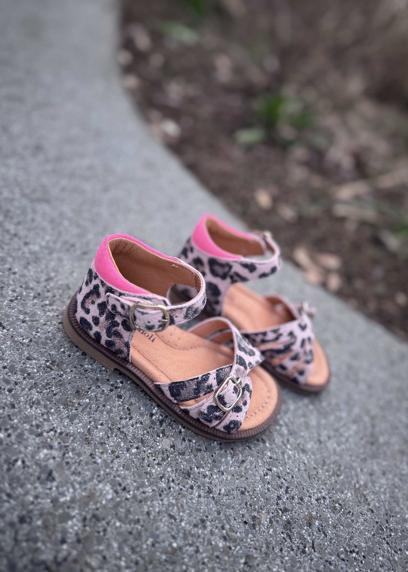 Romagnoli 8529R016 sandaal leopard roze