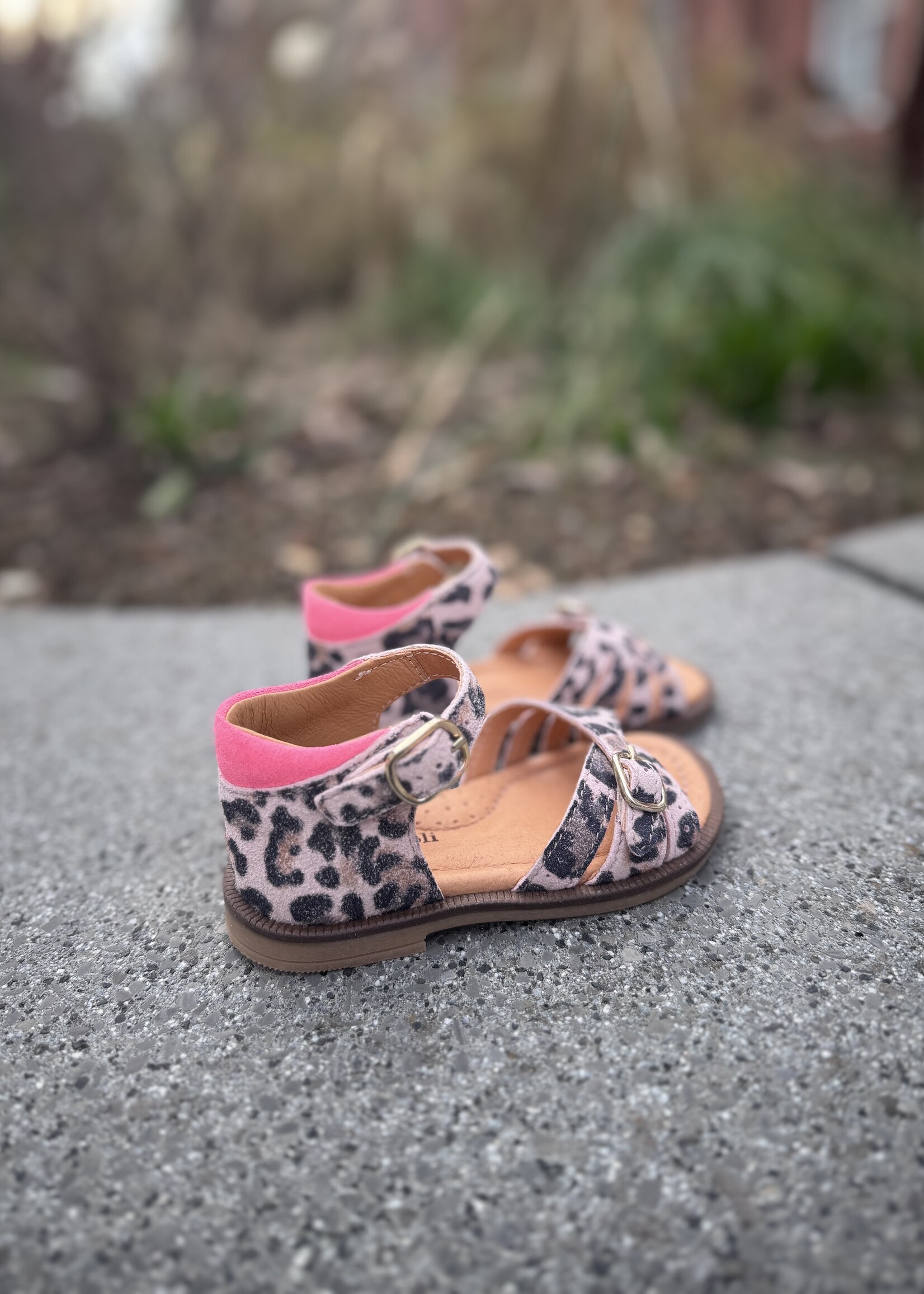Romagnoli 8529R016 sandaal leopard roze
