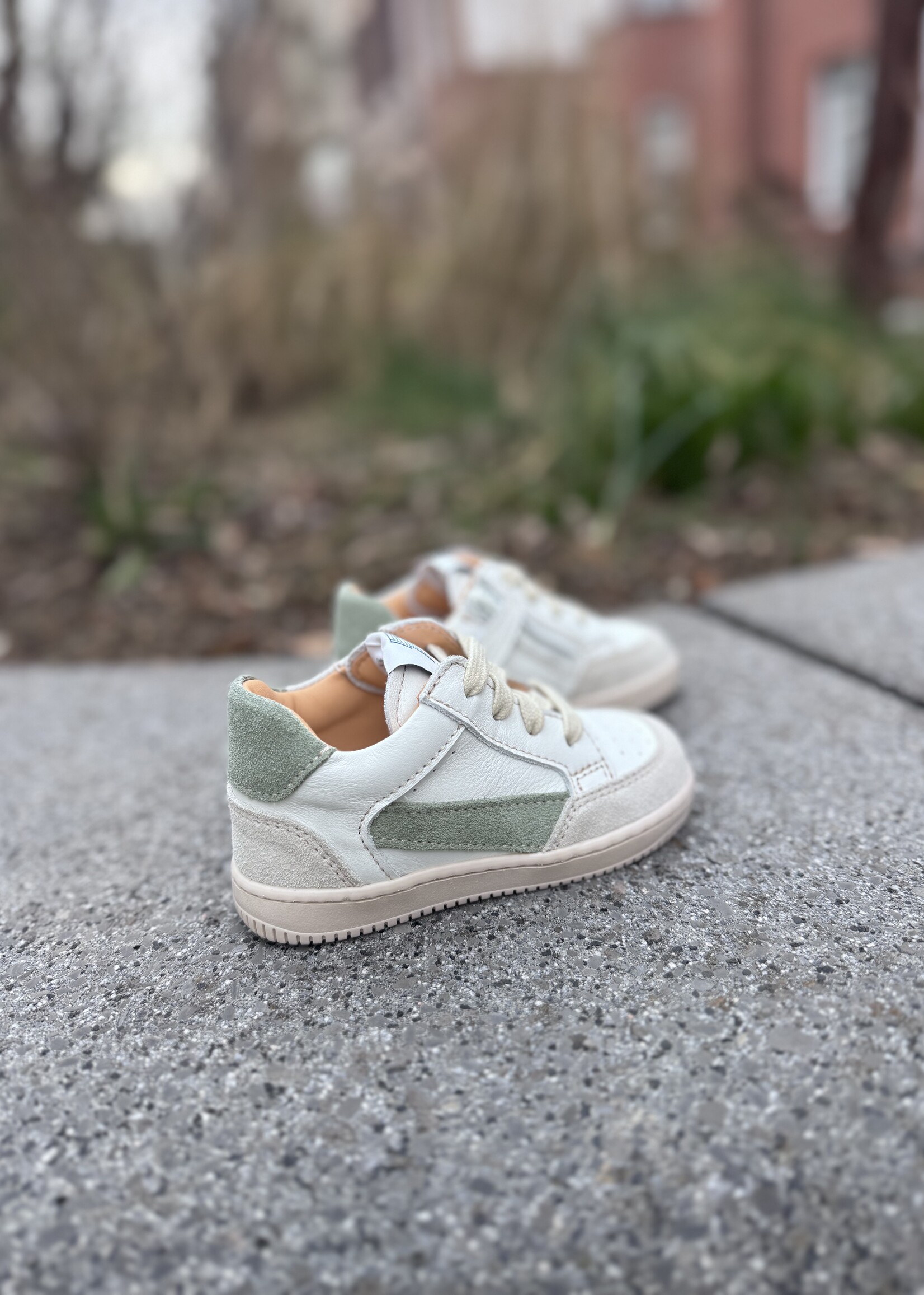 Ocra 970 sneaker cappuccino groen