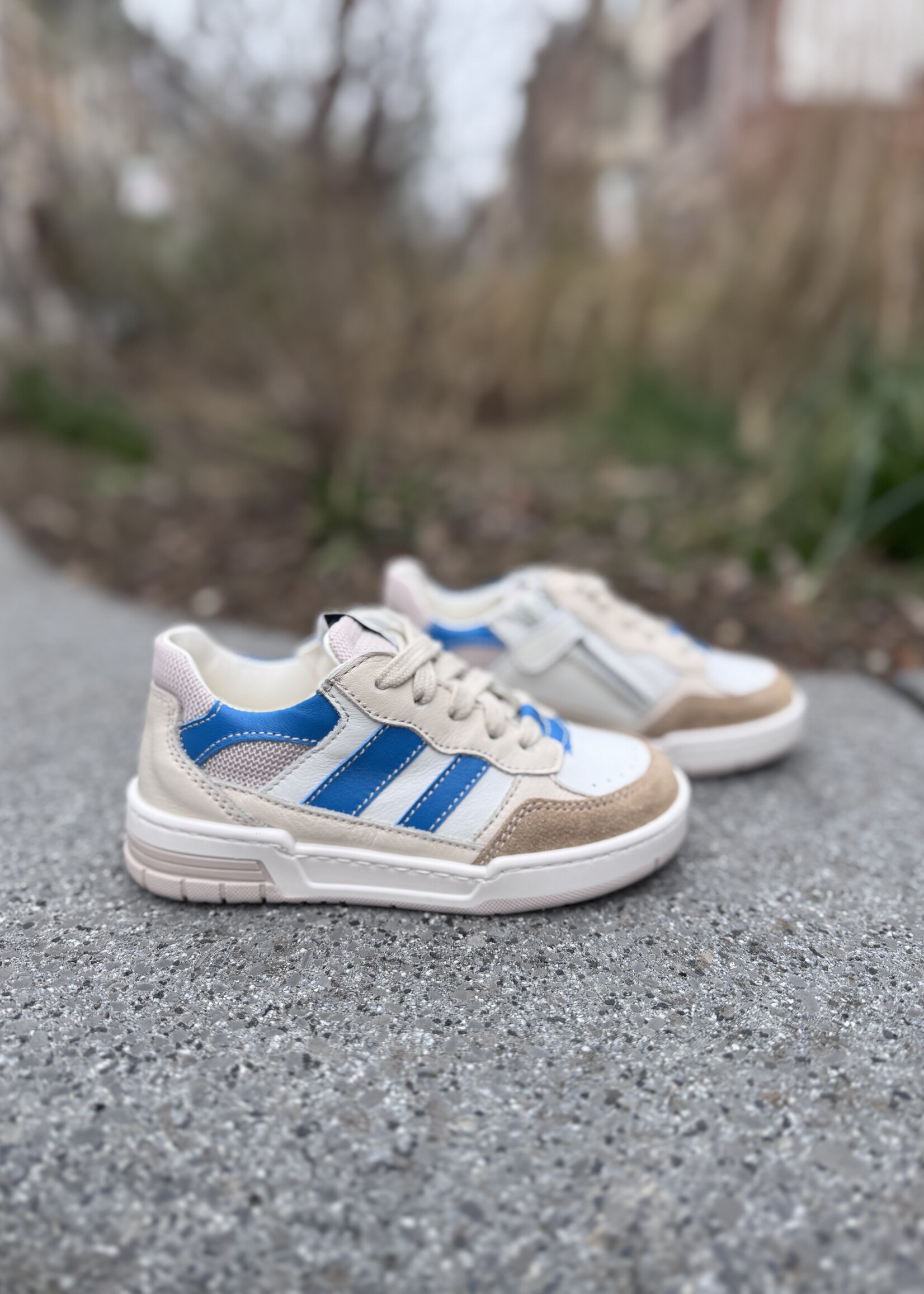 Ocra D910/7 sneaker cappuccino azul