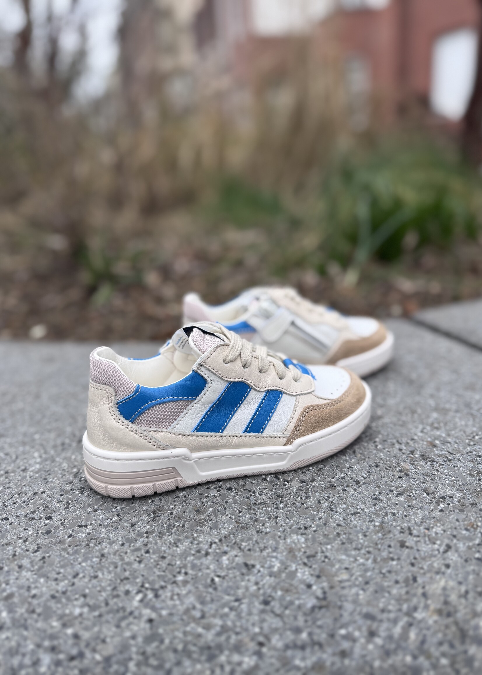 Ocra D910/7 sneaker cappuccino azul