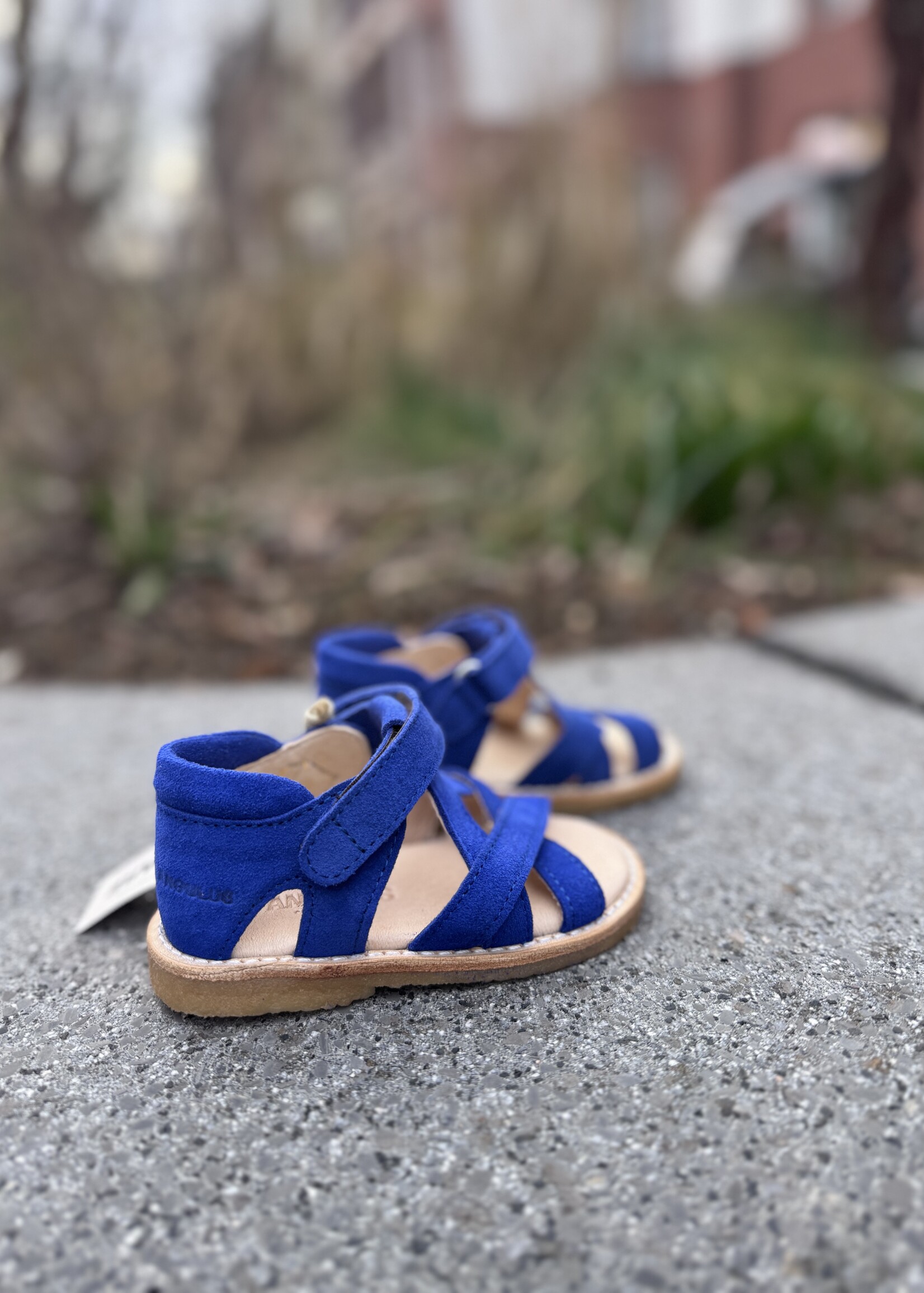 Angulus cross sandal with open toe velcro cobolt