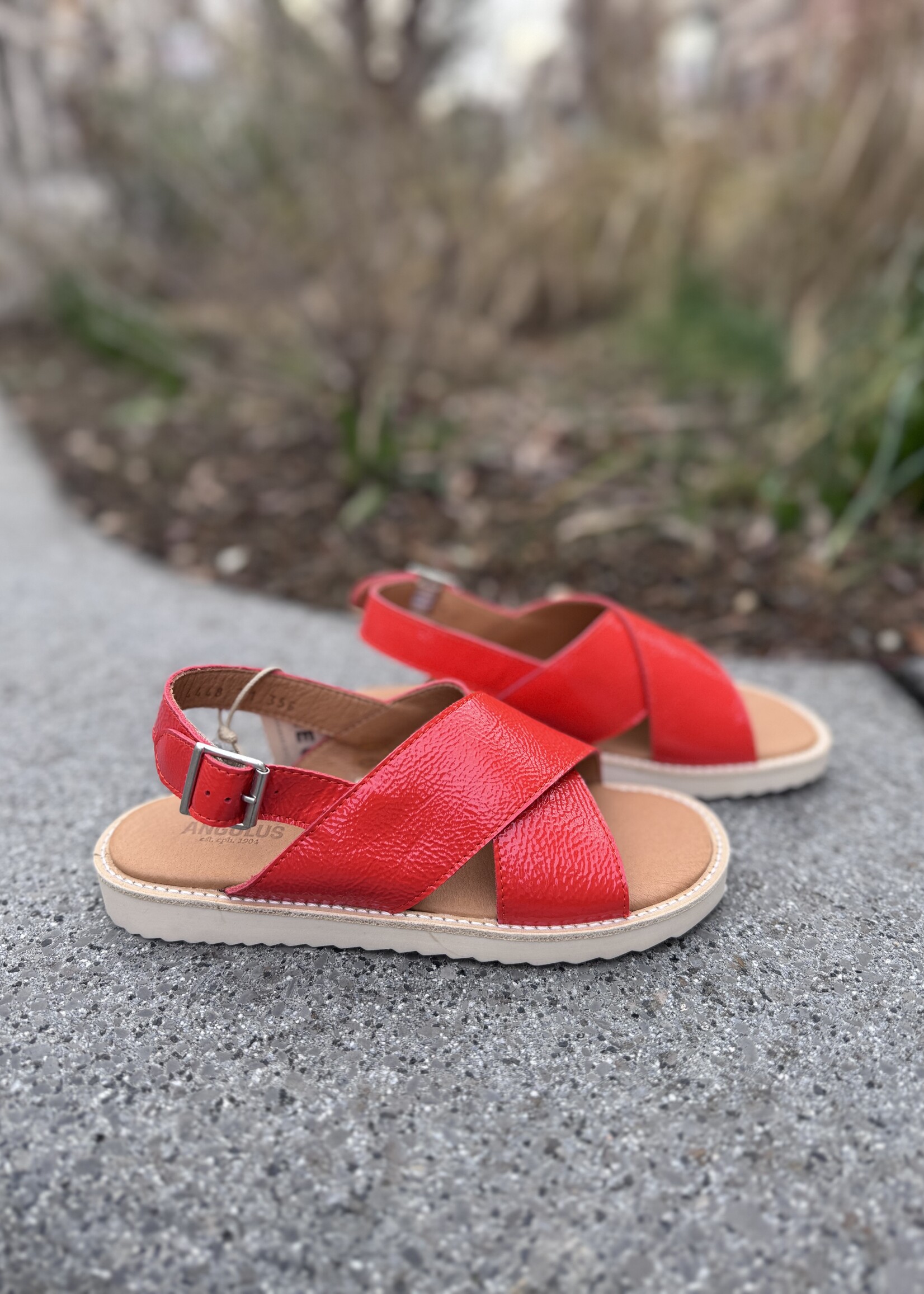 Angulus cross sandal buckle closure coral
