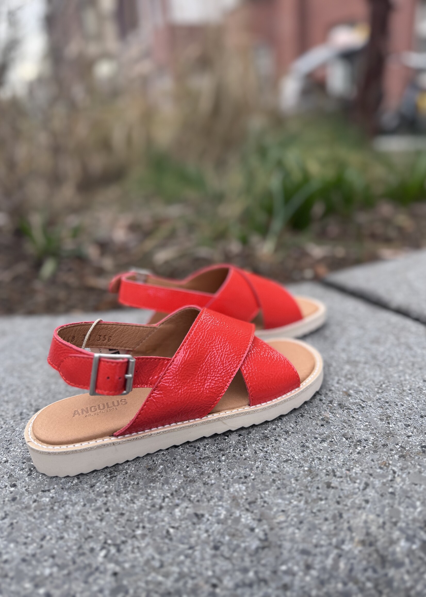 Angulus cross sandal buckle closure coral