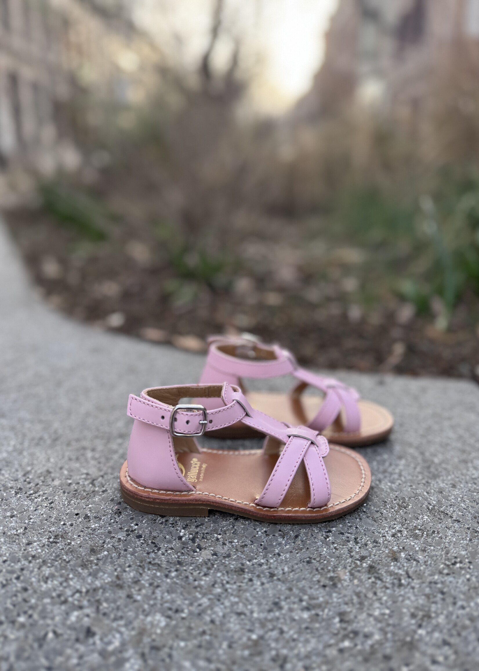 Gallucci  T10051AT sandaal Rosa