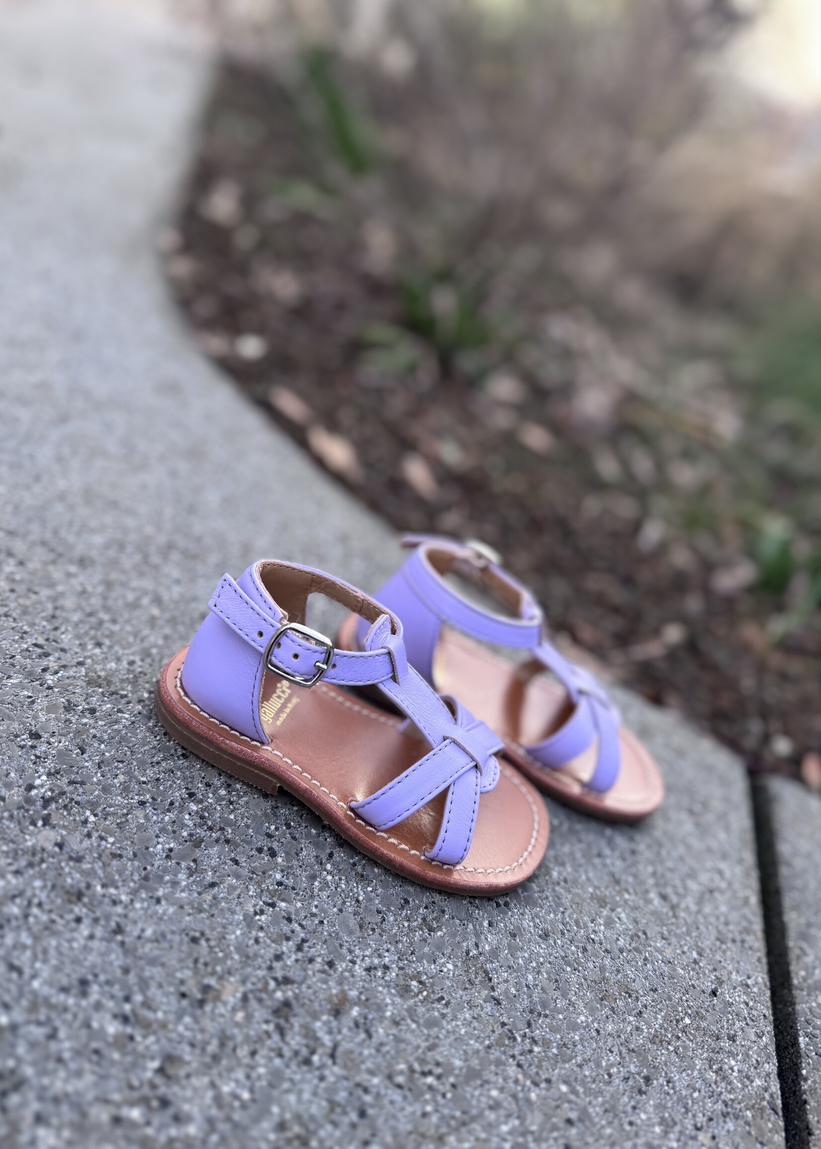 Gallucci T10051AT sandaal lilla