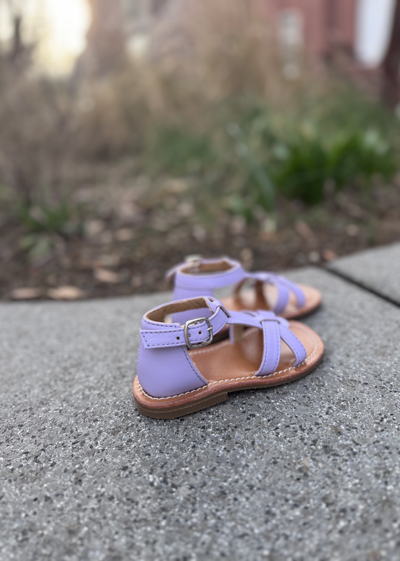 Gallucci T10051AT sandaal lilla