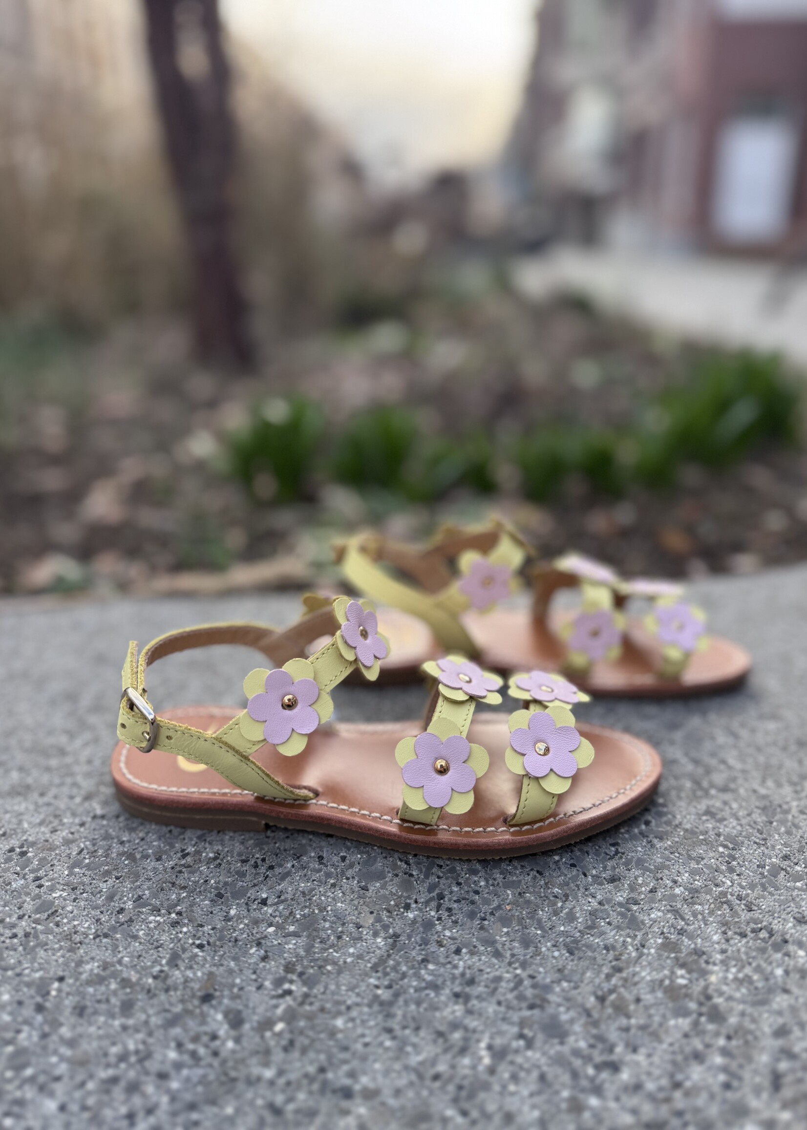 Gallucci J1006MT sandaal citron/rose