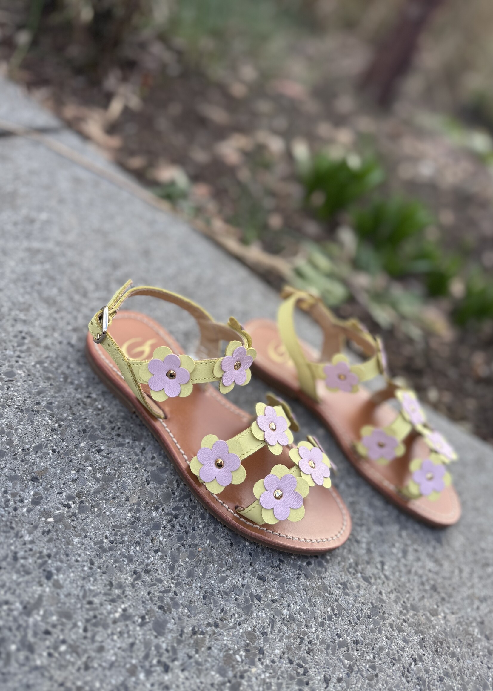 Gallucci J1006MT sandaal citron/rose