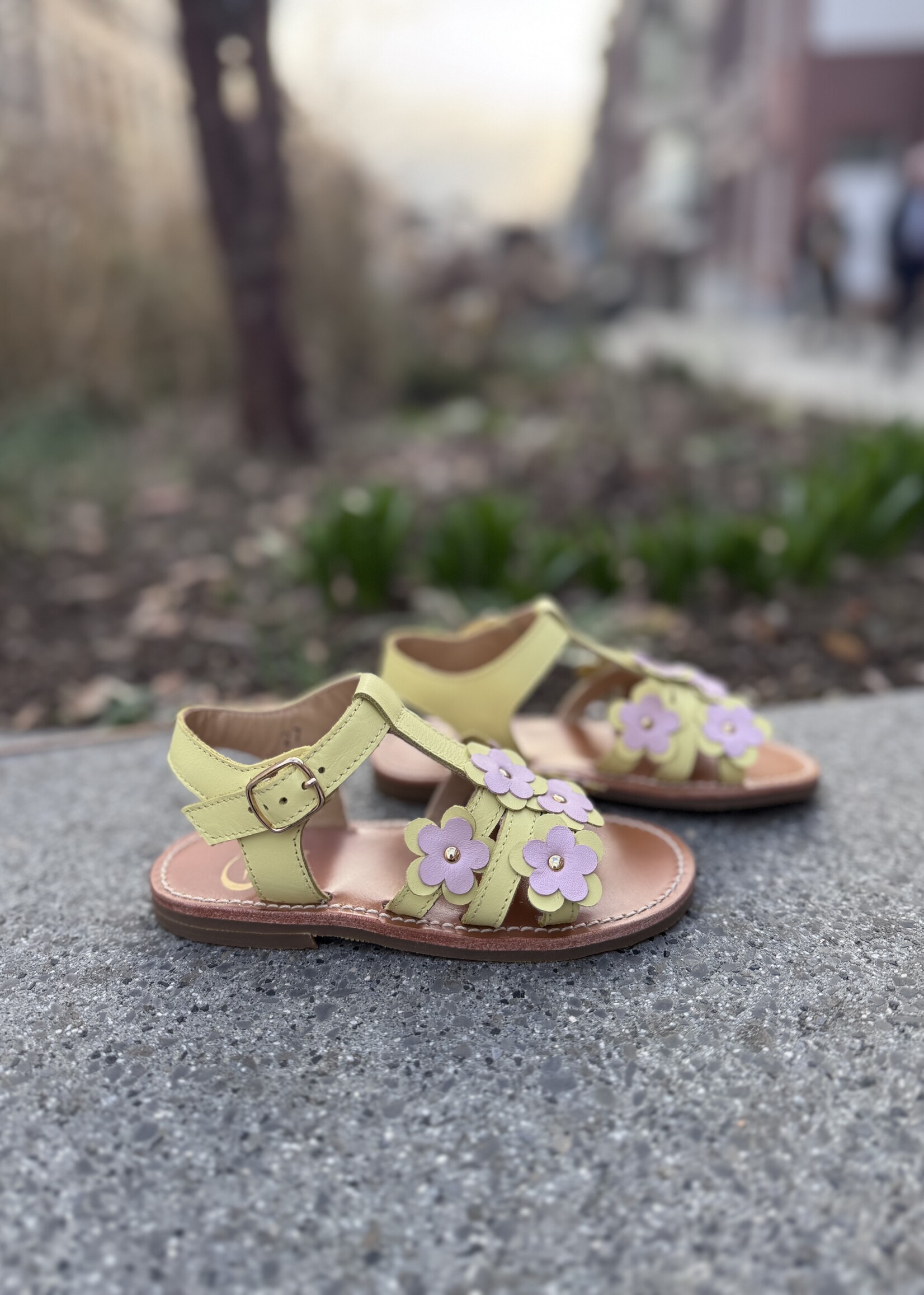 Gallucci T10064AT sandaal citron/rose